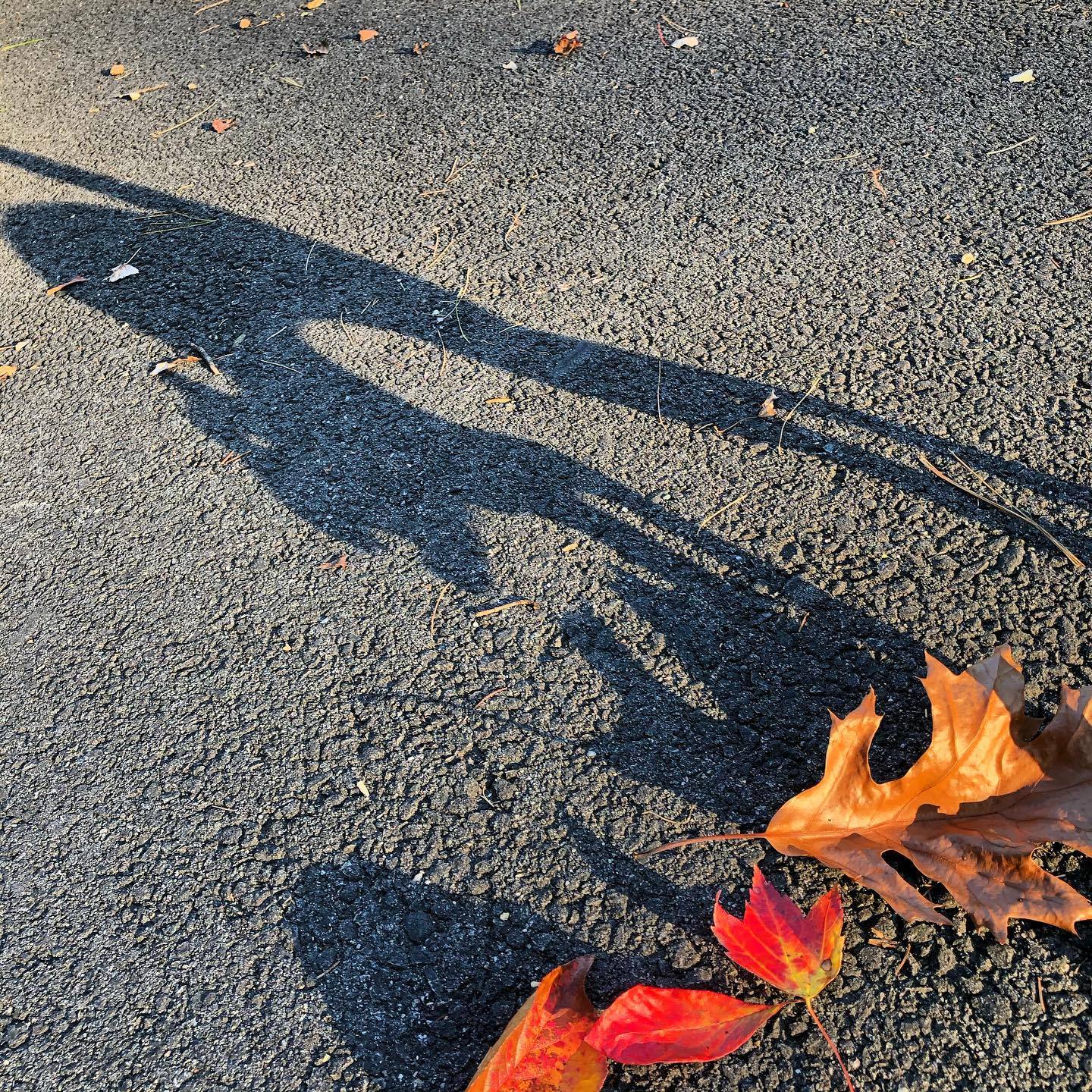 Craving a little Salem magic? Make Salem on Your Own part of your next trip to the most bewitching city by the sea!