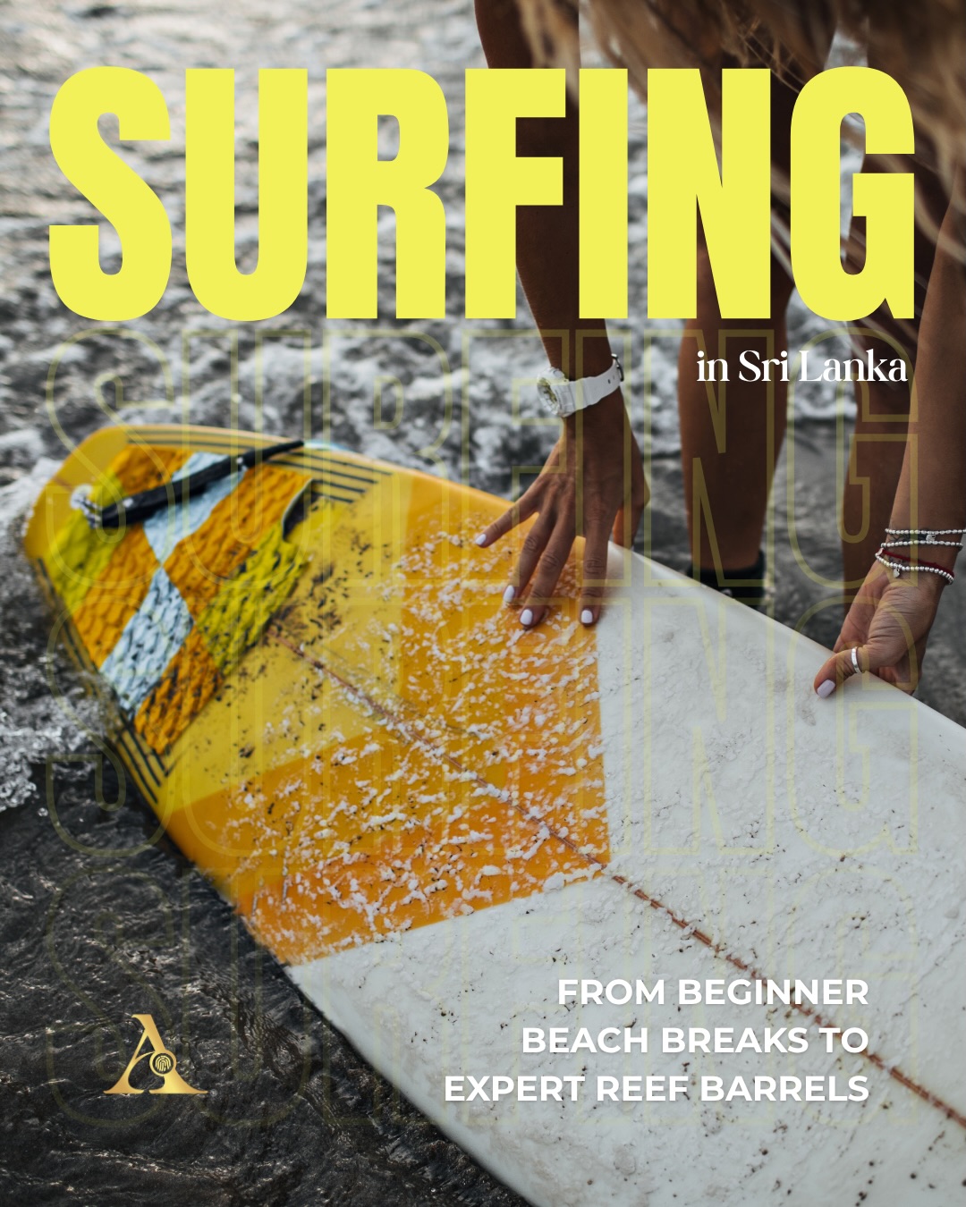 Here is a list of the best places to surf in Sri Lanka: swipe to find your wave
From beginner-friendly beach breaks to expert reef barrels, Sri Lanka has two coastlines firing at different times of year.
Either way, you’re never far from a good curry and a cold beer after.
#acetravelsrilanka #acediaries #surfingsrilanka #beachessrilanka #srilankatravel
