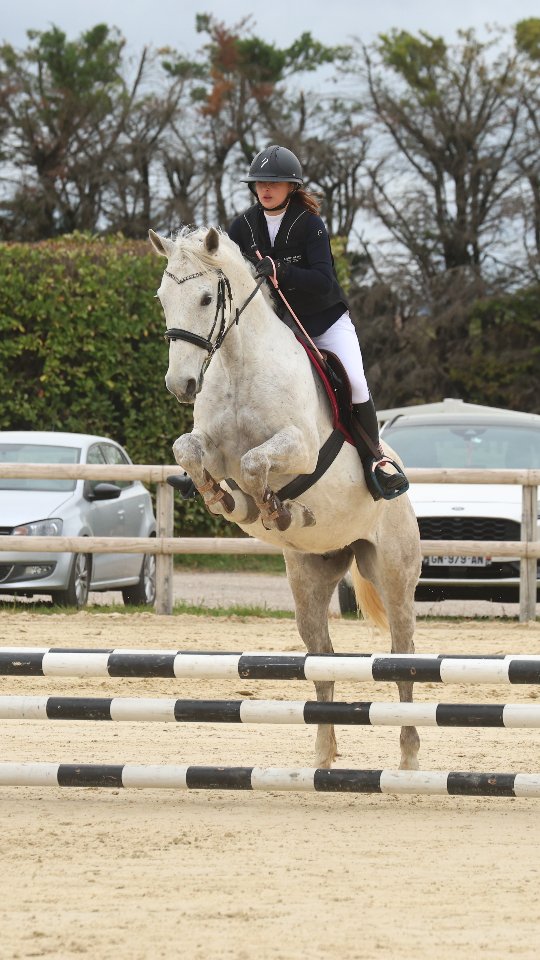 Hier, premier concours de CSO dans la Drôme aux Écuries du Fressy 🐎
Dipsy avec @photo_by_tess.b (prépa 50 cm) et Jeinko avec @faustine.dra (Club 3 – 70 cm) faisaient leurs débuts en compétition ✨
Pour Dipsy, une incompréhension dès la détente avec des refus inhabituels, qui se confirment sur le tour avec une élimination. Probablement le stress de l’extérieur… à retravailler à la maison. Malgré tout, une cavalière qui ne lâche rien et réussit à finir sur une note positive 💪
Pour Jeinko, une très bonne détente, puis un peu d’hésitation face aux nouveautés sur le parcours avec deux refus, mais il termine son tour en se relâchant. Un cheval plein d’avenir ! 🐎
Bravo à mes cavalières pour leur persévérance et leur engagement 🤍
Il y a un début à tout… et on fera mieux la prochaine fois ✨