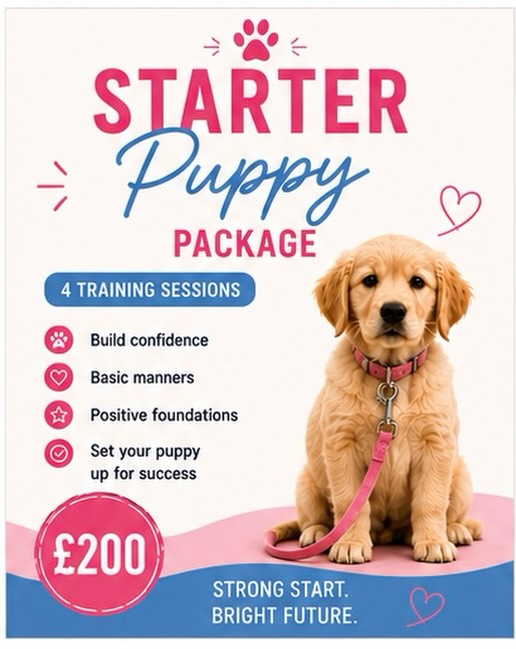 🐶 STARTER PUPPY PACKAGE 🐶
Bringing a new puppy home is exciting… but it can also feel overwhelming 😅
Our Starter Puppy Package is designed to give you and your puppy the best possible start from day one 👇
✨ What we help with:
✔️ Basic command training
✔️ Crate training
✔️ Building routines & structure around the house
✔️ Confidence building
✔️ Toilet training guidance
✔️ Preventing bad habits before they start
✔️ Clear guidance for YOU every step of the way
Having the right foundations early on makes such a huge difference to your puppy’s future behaviour, confidence and relationship with you 🐾
We don’t just train your puppy…
We help you understand exactly what to do at home to create calm, consistent structure and good habits that last 💙🩷
📍4 Training Sessions
💷 £200
DM us for more info or to book your puppy in 📩
#puppytraining #dogtraining #puppytrainer #newpuppy #puppyhelp
