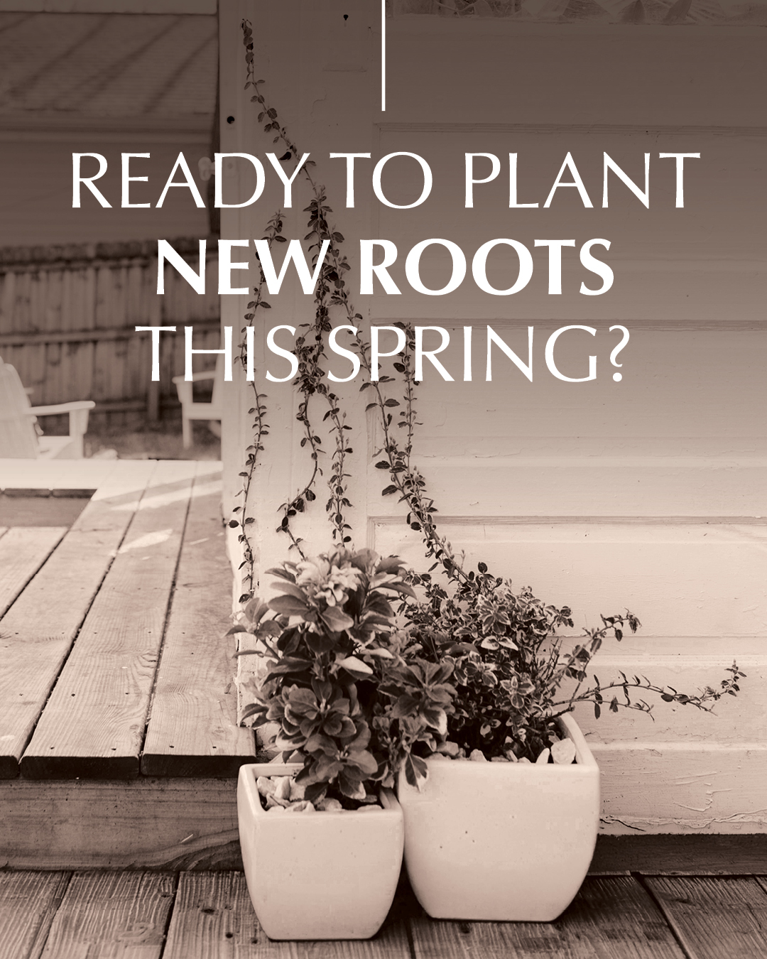 Spring is a time of renewal and fresh starts. Is your current home feeling a little cramped or outdated? Let's find you a space that allows you to blossom and create lasting memories.
#SpringVibes #RealEstateMatchmaker #NewHomeSearch #rmsma #WelcomeHome #MagnoliaRealty #DFWRealtor #NFWRealtor