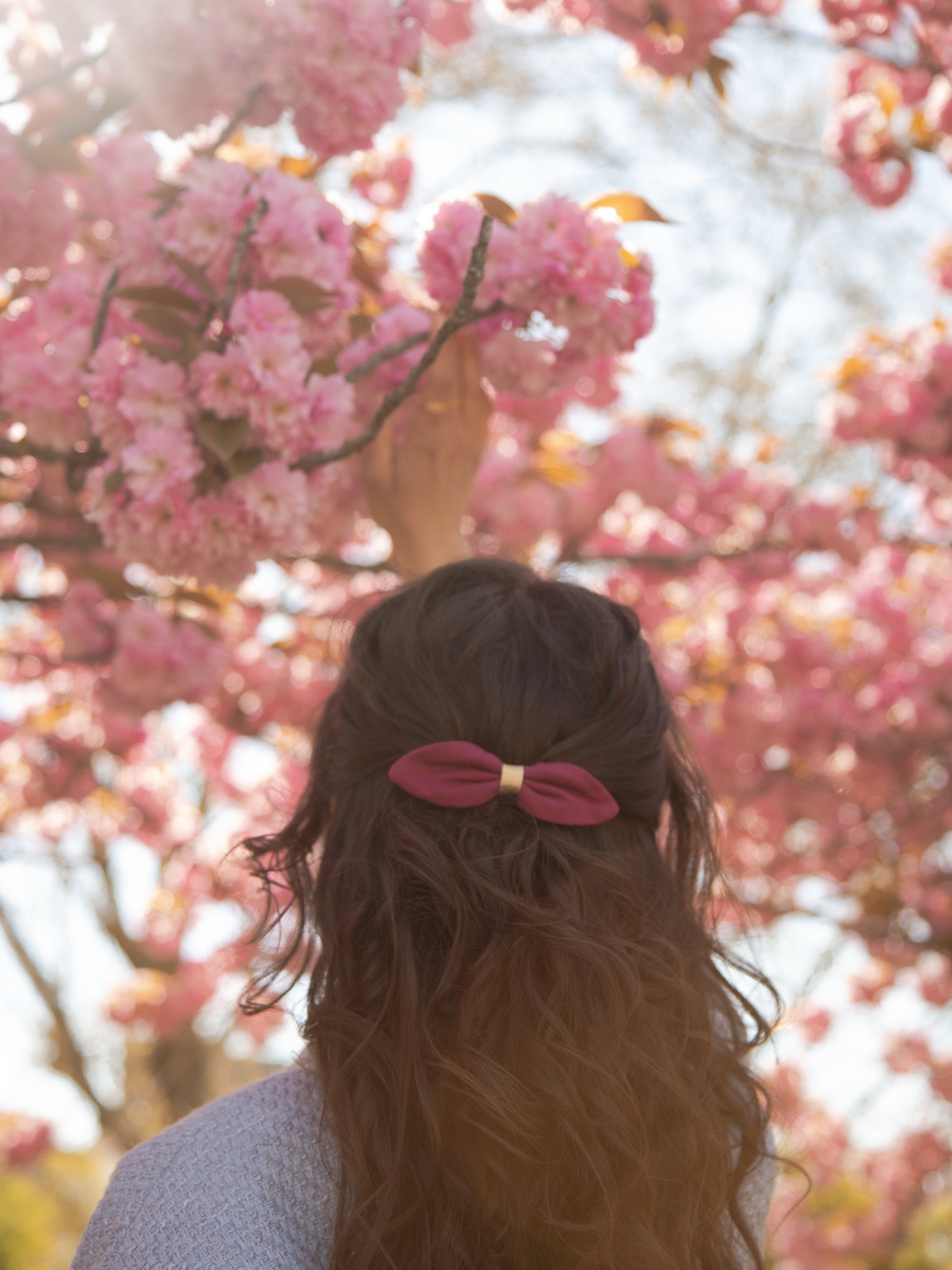 Belle semaine à vous, avec la barrette signature Gaëlle Haymé « Joséphine » couleur magenta 🌸
Les dijonnais.es je vous rappelle notre rendez-vous de ce vendredi et ce samedi au 5 rue vaillant (toutes les infos sont dans le post dédié ou en lien dans la bio)
📸 @mgch_
#cerisierenfleurs #springvibes #printempsenfleurs #placewilson #ideecoiffure