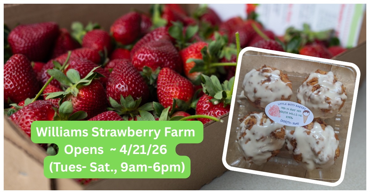 🍓✨ Sweet news, Y'all!! 🍓✨
Williams Strawberry Farm opens TOMORROW!
Check their page for the latest updates & goodies available.
🍓Pre-Picked berries (ONLY)
🍓Strawberry Biscuits- Made from Scratch!
🍓Strawberry Shortcakes
🍨 8 flavors of Homemade Ice Cream- Including APPLE PIE!
❤️ There's nothing sweeter than fresh berries, biscuits, ice cream & supporting local!
@visitnc @visitncfarms #strawberryseason #homemadeicecream #strawberrybiscuits #nccoast #supportlocal