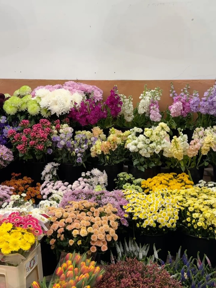 Yesterday. Exploring Ancona.
Before heading home, we visited one of the most beautiful flower shops in Marche: Campo Verde on Via G. Marconi. Itâs run by Aron from Holland. If you want to experience a sea of tulips, roses, and other cut flowers, donât miss a visit to Aronâs. And right next door, thereâs a truly wonderful antique shop, filled with treasures from the 40s, 50s, and 60s.
Thatâs life in Marche.