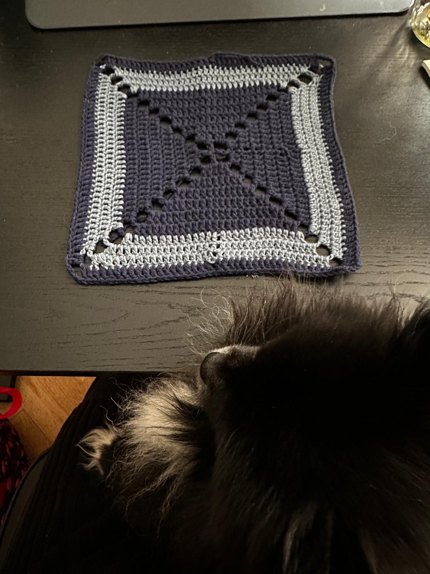 On my way to my first vest❤️🧶Featuring my dog Rodri🐾🧶
#crochet #crocheting #crochetandocomamor #crochetconamor💜 #amorporelcrochet🌷