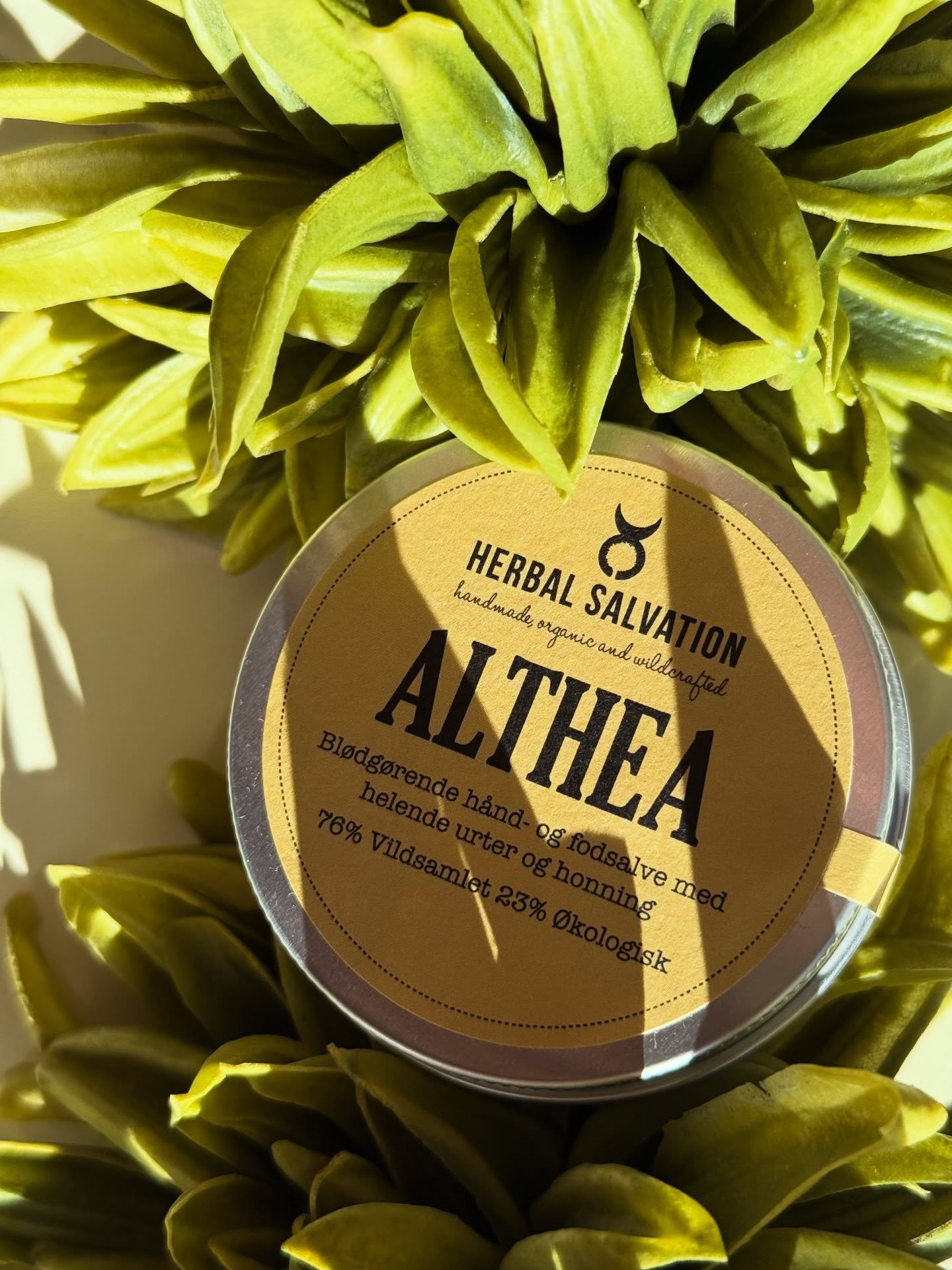 💚 Fem produkter, der - blandt meget andet - blevet solgt i biksen i løbet af ugen!
1: ALTHEA: en ekstra nærende salve til hænder, fødder, læber - og alt andet! 😍
199kr
2: MICELLAR WATER: et mildt og effektivt renseprodukt, der bevarer hudens sundhed og forsvar! 🔥
195kr
3: GLO C SHIELD ANTIPOLLUTION MOISTURE TINT SPF 30: dette fugtgivende tint er hudpleje, solcreme og makeup i ét! 🤤
489kr
4: FLORAL WATER WITCH HAZEL: en helende, beroligende og opstrammende mist, som også kan bruges som skintonic. ❤️
195kr
5: HERBAL CLEANSE: nærende ansigtsrens for et sanseligt rensesitual og en sund hudbarriere i balance. 🫶🏼
375kr
De kan alle fem købes via vores webshop på www.lajolie.dk eller i vores butik på Valby Langgade 30a. ✨
Skulle du ligge inde med spørgsmål, så skriv os endelig en DM! Vi elsker at hjælpe. 😍
#lajoliedk #heledig