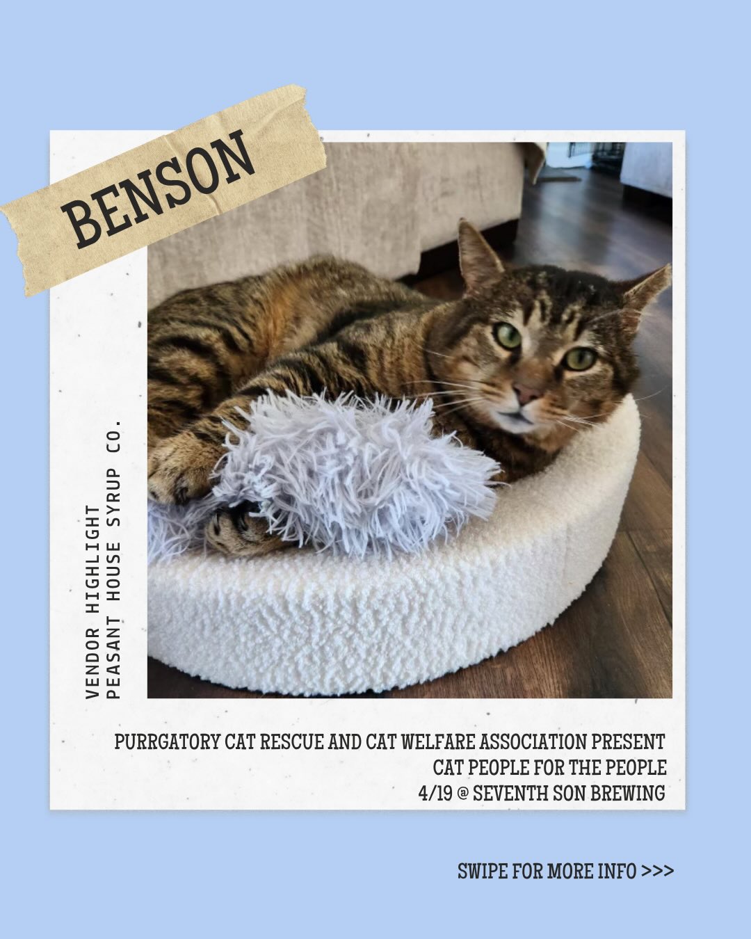 Vendor Highlight!✨🩵 Meet @peasant_house_syrups! Come see them at Cat People For the People. 🐱
📍 @seventh_son_brewing
📆 Sunday, April 19th from 1p-5p