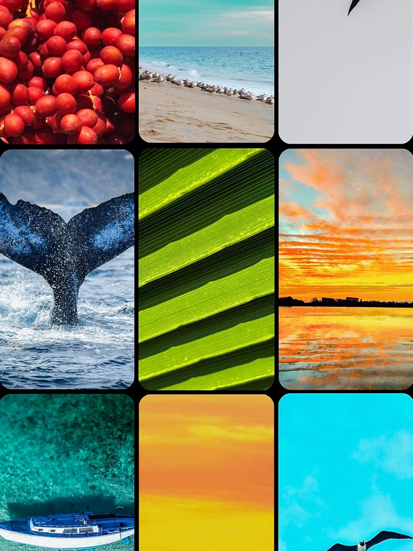 This isn’t just a photo… it’s art that sells.
🖼️ Ready-to-hang piece
🔥 Limited edition
💥 Designed to elevate your space
📩 DM now
Own it before it’s gone.