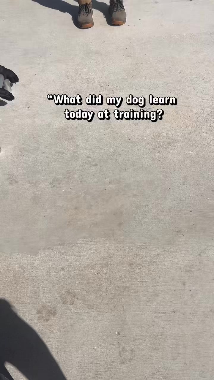 Anyone else notice the pattern? ⚫️🟤⚫️🟤⚫