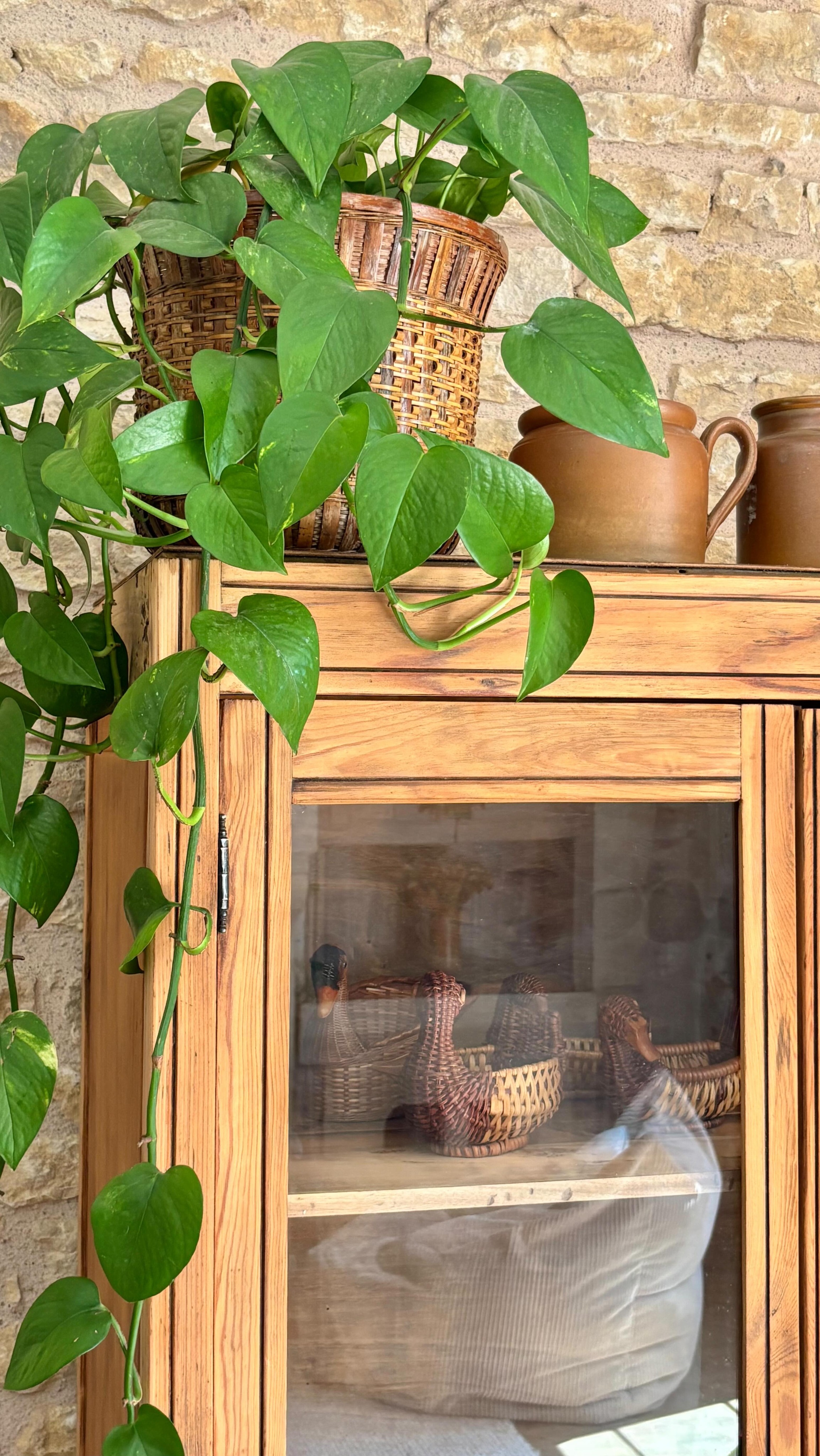 Chloé est dispo 🤎
Longueur: 81cm
Profondeur : 45,5cm
Hauteur: 168cm
🏷️620€
📦 Retrait au showroom « Chez Louisette » gratuit au 326 AVENUE DE PARIS 79000 Niort sur les horaires d’ouvertures (lundi et vendredi de 12h00 à 18h30 et le samedi de 10h00 à 18h30). Merci de nous indiquer la date et l’heure du retrait et de vous organiser concernant la manutention.
🚚Livraison possible dans les 60km avec supplément.