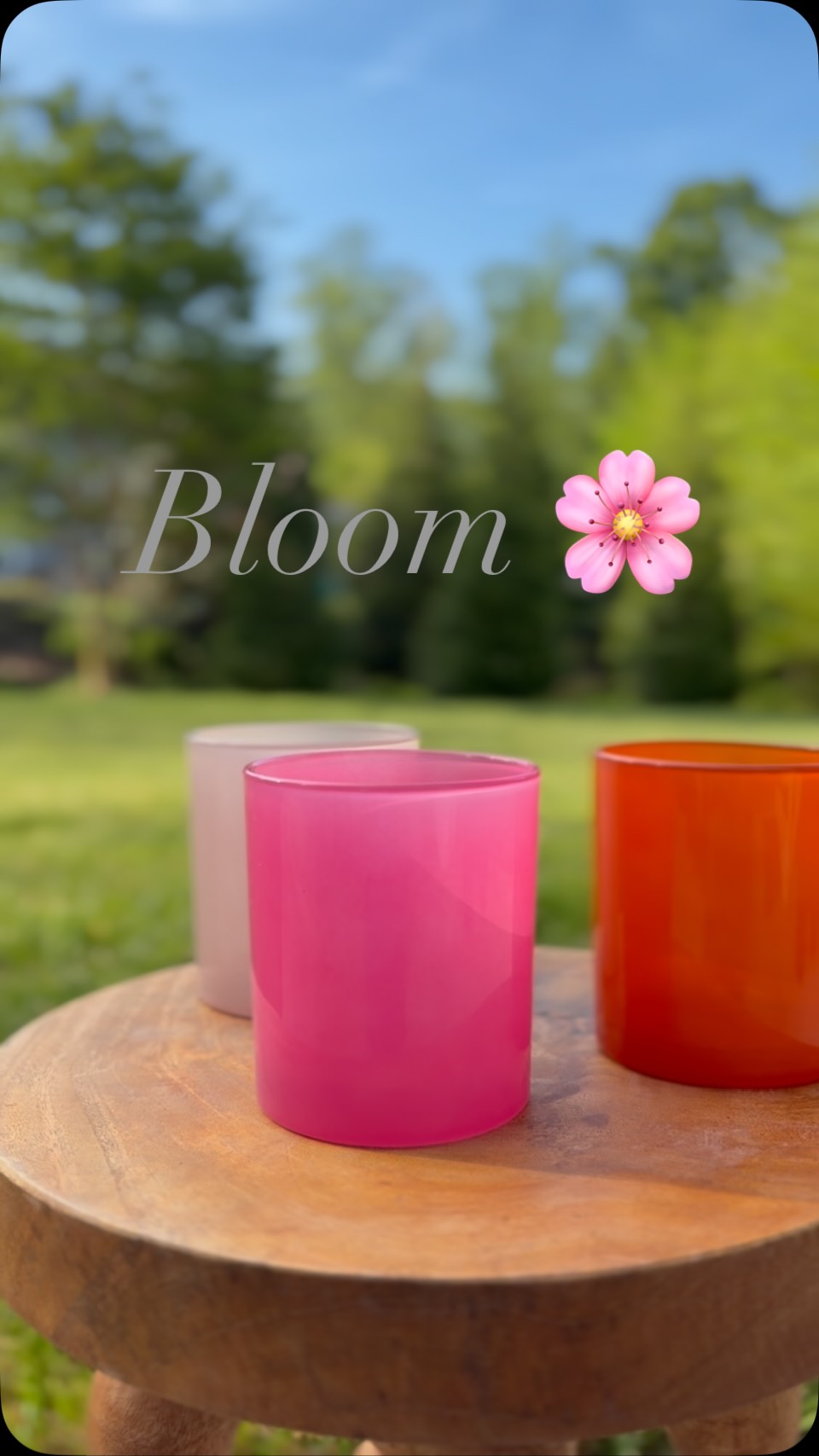 A fresh take on simple elegance…
Our Bloom Collection is coming soon 🌸
Clean, hand-poured candles with a little more personality!
#springcandles
#luxurycandles
#cleanburning
#coconutsoycandles
#handpouredcandles