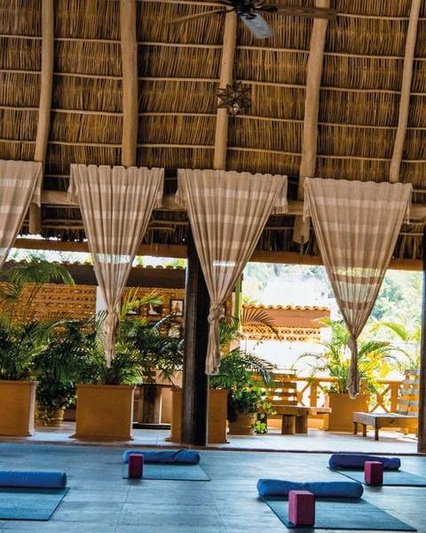 What if rest wasn't selfish? What if it was essential? 🧘♀️
Mindfitness isn't meditation for monks. It's a practical tool for burned-out professionals who want to feel alive again.
In just 7 days in Sayulita, you'll learn:
✨ How to calm your nervous system (even at your desk)
✨ Practices that take 5 minutes but change everything
✨ How to build resilience that actually lasts
✨ Why you deserve to pause
This isn't about escaping your life. It's about returning to it with clarity, peace, and purpose.
Feb 7-12. Small group. Real transformation. Chat with Brett 💛 https://calendly.com/wellness-travel/zoom-meeting