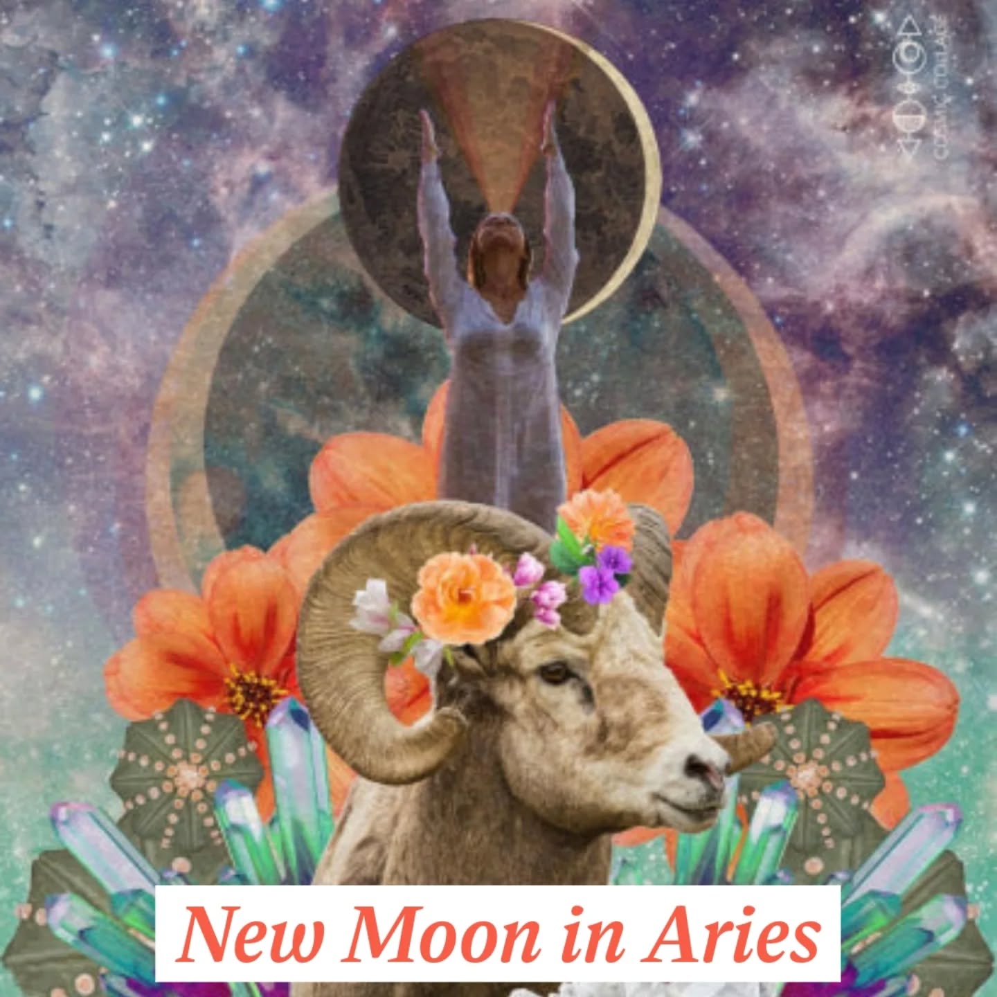 There is a New Moon in Aries today, and a new blog out to go with it!
Aries is ruled by IV The Emperor in tarot, and to support what we say yes to in the firey Aries energy, it's important that we know how to say no. Read how the Four of Cups support your inner life with the structure to reject FOMO, blog link in bio!
#sftarot #newmoon #moonmanifesting
#aries #sanfranciscotarot