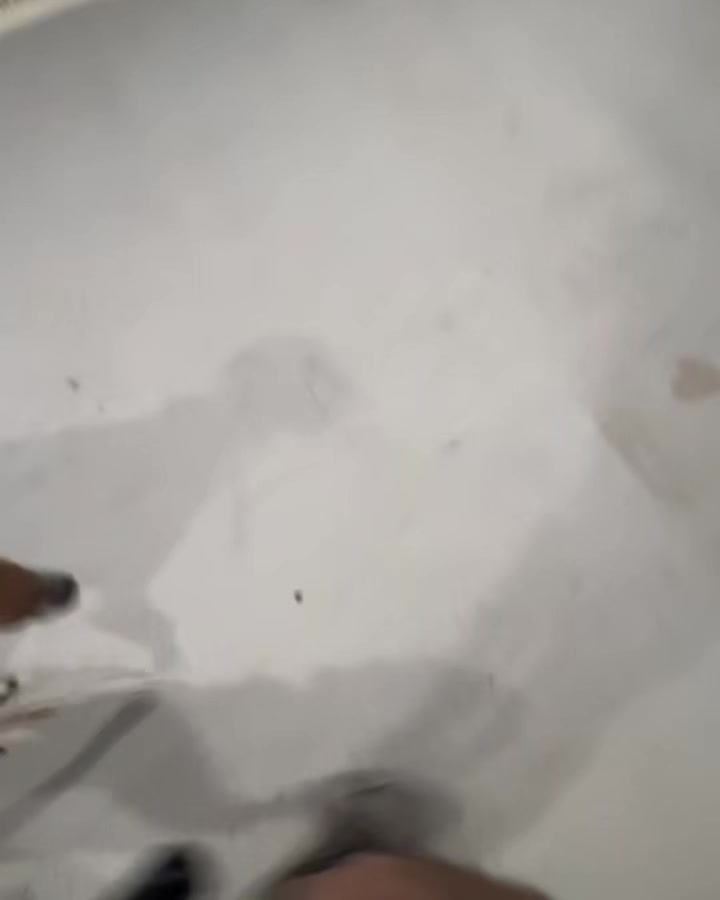 When your dog is in a board & train or here for a tune-up, they receive multiple training sessions throughout the day in different settings and at different times- early mornings, midday, and even as the sun’s going down. If it’s too hot, too cold, or raining, we move into our facility. Either way, the training doesn’t stop! Weekends, holidays, slow days..it doesn’t change the routine!