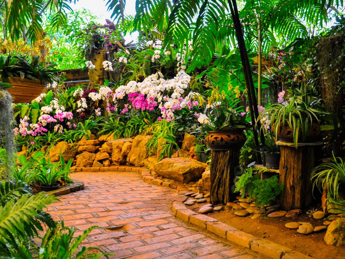 “Gardening is how I relax. It’s another form of creating and playing with colours.” - Oscar de la Renta
#QuoteOfTheDay #FridayFeeling #SafeSoilUK #OscarDeLaRenta #gardening colours fashiondesign