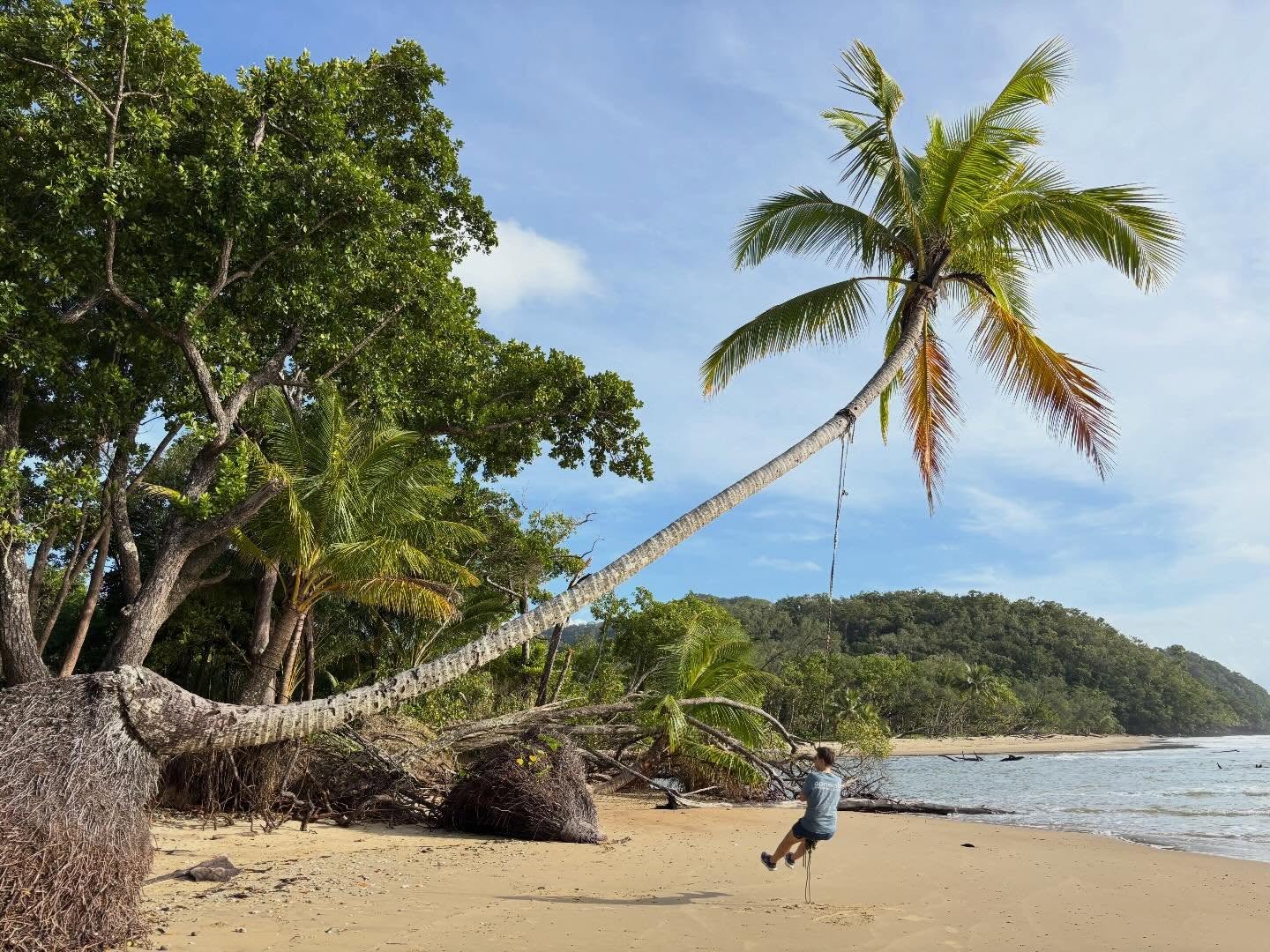It’s time for Sue to stop swinging about and get back to work… we are back open today from 10am. We will share some of our FNQ adventures soon but for now we will try our best to get these shelves restocked!