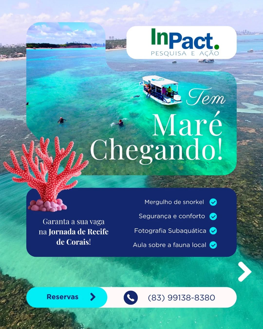 Tem maré suuuper baixa chegando! 💙✨
Não deixe para a última hora — garanta já sua reserva!
Já imaginou viver uma experiência única de conexão com a natureza? 🌎💙
A Jornada nos Recifes de Coral é um passeio educativo e encantador, onde você conhece de perto os corais, a biodiversidade marinha e entende, na prática, a importância da conservação dos nossos oceanos.
Uma vivência transformadora, que une ciência, educação ambiental e contemplação em um dos cenários mais incríveis do nosso litoral 🌊✨
📅 Confira as próximas datas disponíveis
📲 Reserve pelos nossos canais de atendimento:
📱 WhatsApp: (83) 99138-8380
✉️ Direct message
🌐 Saiba mais em: www.inpact.org.br
📍 Embarque: Rua dos Pescadores, 501 – Ponta do Seixas, João Pessoa/PB
⚠️ Vagas limitadas! Garanta a sua e venha viver essa experiência inesquecível 💙