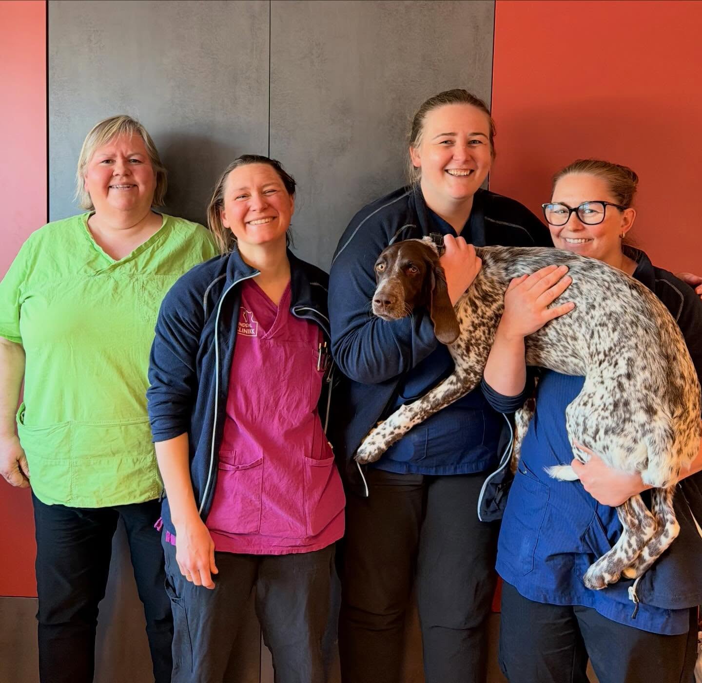 25.april er verdens veterinærdag 👩🏻⚕️🩺🐾
Veterinærer jobber hver dag for kjæledyr, dyrevelferd og for å forebygge sykdommer som kan ramme både dyr og mennesker.
Årets tema handler om veterinærens rolle i et trygt og bærekraftig matsystem - en påminnelse om at dyrehelse og menneskehelse henger sammen! Tusen takk til jobben de gjør! ❤️