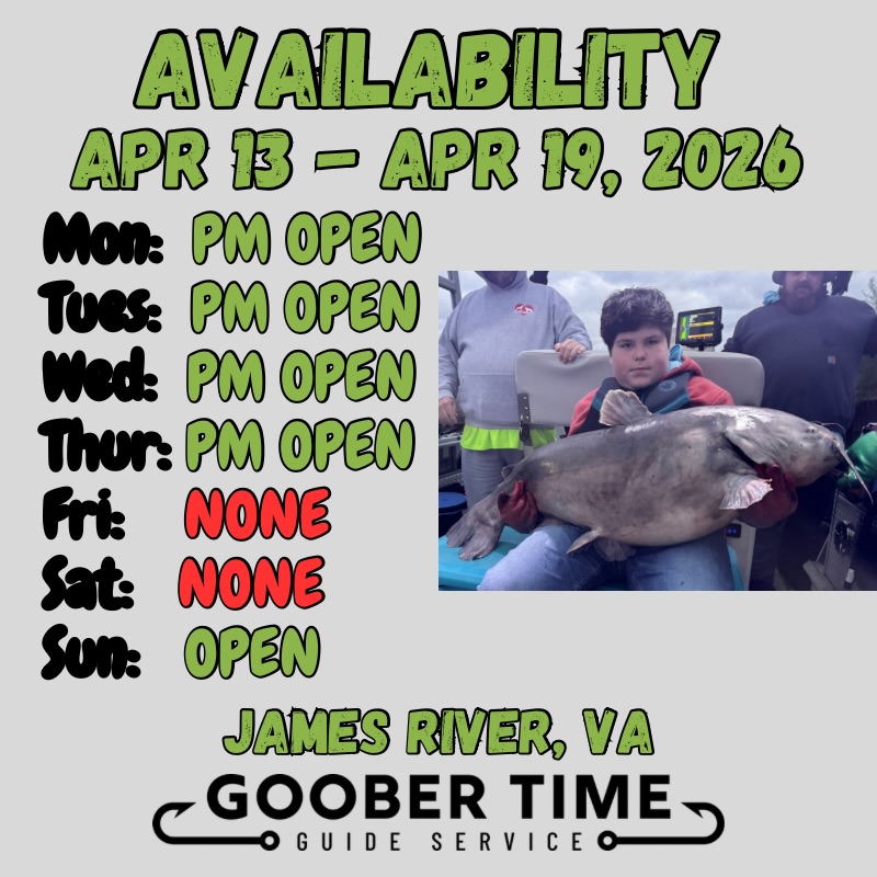 THE BITE IS ON! 🎣✨ April 13–19 Availability:
The weather is gorgeous and the multi-species trolling has been productive! Here’s the report:
📍 James River: White Perch are thick & Catfish are active in the evenings.
📍 Local Lakes: Crappie are spawning—huge numbers and a total blast.
📍 On the Troll: Striper are finally showing up!
Grab your spot:
✅ Mon–Thurs: Short Evening Trips
❌ Friday & Saturday: FULLY BOOKED
✅ Sunday: FULLY AVAILABLE
Don’t miss this spring run. Tap the link in our bio to book! 🛥️💨
