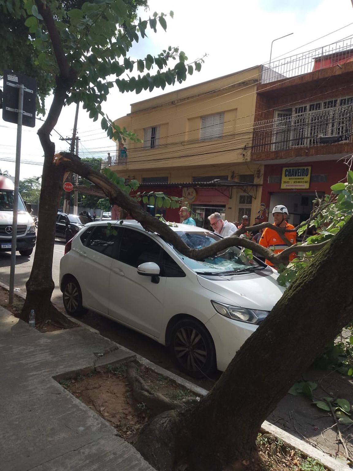 Árvore caída em carro próx ao Condomínio Weekend
R. Sd. Teodoro Francisco Ribeiro, 60 - Parque Novo Mundo,