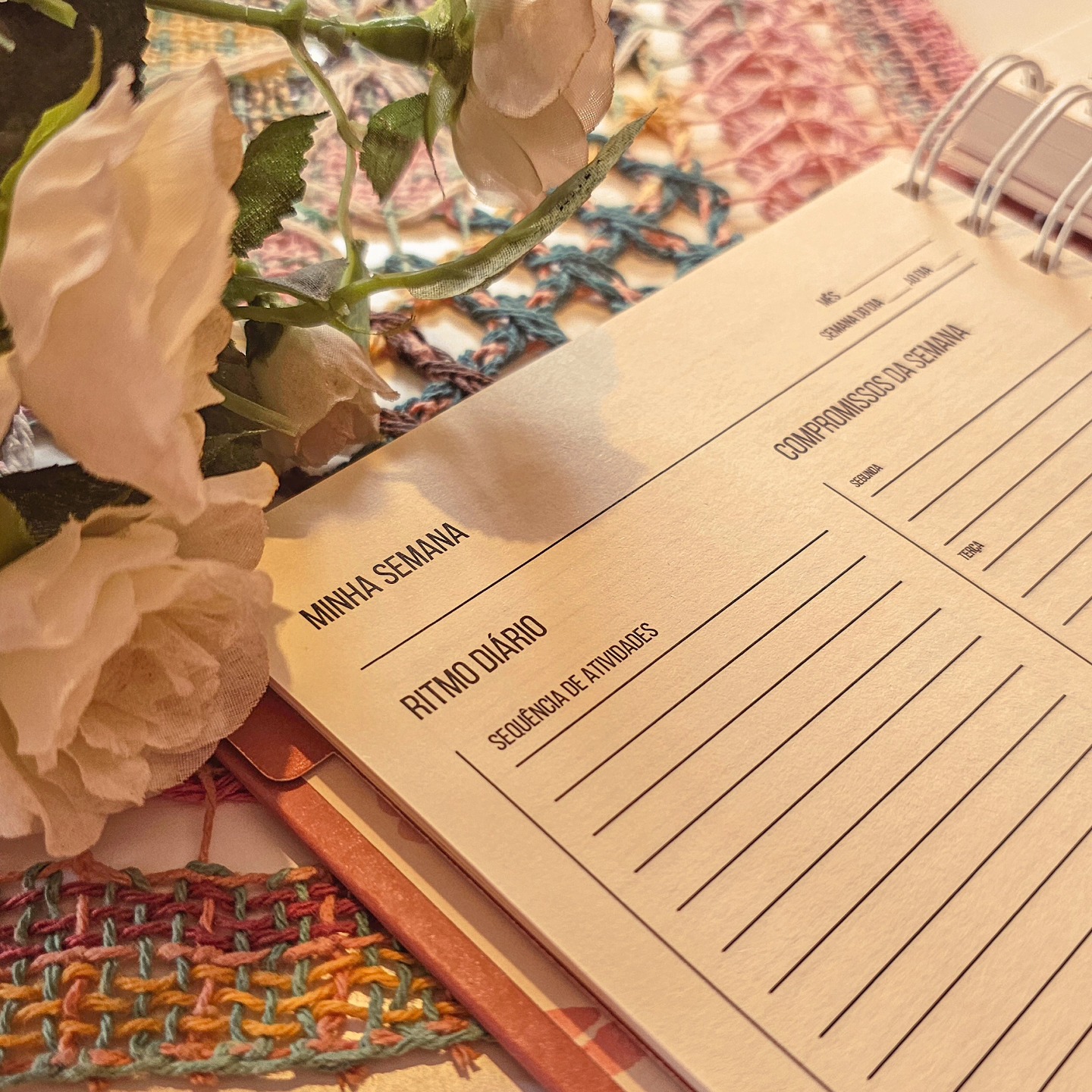 Semana 1 | Jornada de Organização para um 2025 cheio de Intencionalidade🌿
Estou muito feliz em dar as mãos para cada você ao começarmos juntas a nossa caminhada rumo a um 2025 em que sejamos mais intencionais e presentes no nosso dia a dia comum!
Para te ajudar a organizar melhor os seus estudos e práticas ao longo da semana, compartilha com você a programação dessa primeira semana.
♡Hoje, dia 13 de novembro, há um texto no blog onde trago a introdução ao nosso assunto da semana: CRIAÇÃO DE UM RITMO DIÁRIO.
♡Dia 15, vai ao ar um novo programa da Rádio Leveza: veremos o passo a passo para a organização do nosso ritmo.
♡Dia 18, compartilho com você uma playlist que irá embalar seus estudos da semana.
♡E, finalmente, para fecharmos esse primeiro assunto, no dia 19, trago um pequeno filme que te levará um pouco de poesia para te inspirar na criação do seu ritmo.
O material que vou indicar para vocês nesses primeiros passos da nossa jornada é o Organizador de Rotina e Ritmo.
Ele é um planner que criei, com muito carinho e capricho, para ser uma ferramenta completa para nos auxiliar em um planejamento cheio de leveza e propósito.
O Organizador traz diversos recursos (planejamento de refeições, âncoras diárias, controle de hábitos, organização do tempo de autocuidado, anotação das pequenas bênçãos que são derramadas sobre nós e muitos outros instrumentos úteis) mas, por enquanto, quero focar no espaço do Organizador dedicado à organização do nosso Ritmo Diário.
Caminhemos juntas nessa linda jornada!🍂