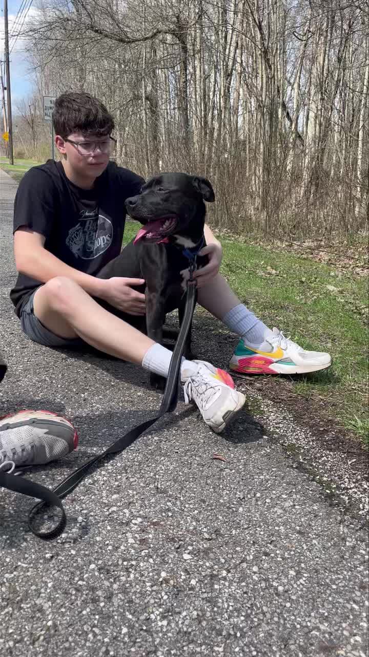 🚨‼️DOG OF THE WEEK ‼️🚨
Woody literally soaks up every bit of love he can get from every single person 💗 Woody knows the drill all too well. He gets out for some much needed time away from the pound, gets time with his favorite volunteers- but then has to go back to the same 4 walls where he spends so many hours all alone 😞
Woody is middle aged about 4 yrs old and 60 lbs. He craves human attention and love. So loyal even though all of his let downs by humans. He’s potty trained and crate trained. While he prefers to be the only pet- he has MORE THAN enough love for every person he meets. He just needs 1 person to fall in love with him and finally put him first 🐾
Get your app in now and come meet this sweet boy. You will fall in love like we all have ♥️ Tiffany
Trumbull county pound
7501 Anderson Ave
Warren OH 44484
330.675.2787
#goodboy #blackdogsarethebest #adoptwoody #bigheadbiggerheart #dogoftheweek