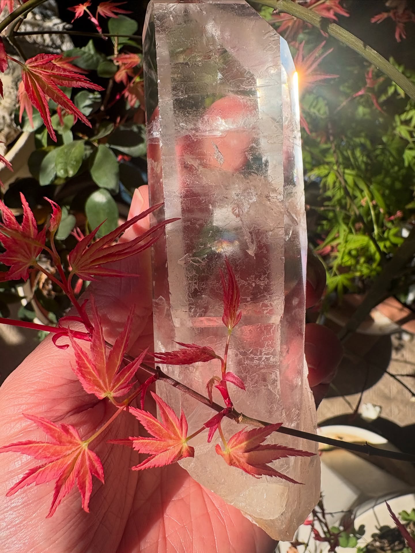 “What you seek is seeking you.” ✨
— Rumi
I have always loved this line of wisdom, but lately I have been feeling it in a different way.
As I hold this crystal in the soft spring light…
it reminds me that clarity isn’t something I need to chase or figure out.
It is already here.
It just asks me to slow down enough to notice.
There is something about light moving through a crystal …how it doesn’t hold onto anything, it simply lets the light pass through.
Maybe that is what we are being invited into right now…
less effort, less pushing,
more allowing of our own light to pass through. 🫶
Spring has a way of softening everything. 🌿
A quiet expansion. A fresh beginning that doesn’t force itself.
Maybe nothing is missing.
Maybe we are exactly where we are meant to be.
Maybe what you long for is already is ready to be discovered inside of you.🌈
— Doni 🕊️✨
⸻
#CrystalEnergy
#RumiQuotes
#SpiritualAwakening
#LightWithin
#EnergyHealing
#SpiritualGrowth
#HeartCentered
#IntuitiveLiving
#DivineFlow
#SoulConnection
#SpringEnergy
#NatureHealing
#InnerPeace
#MysticPath
#DoniAmoris