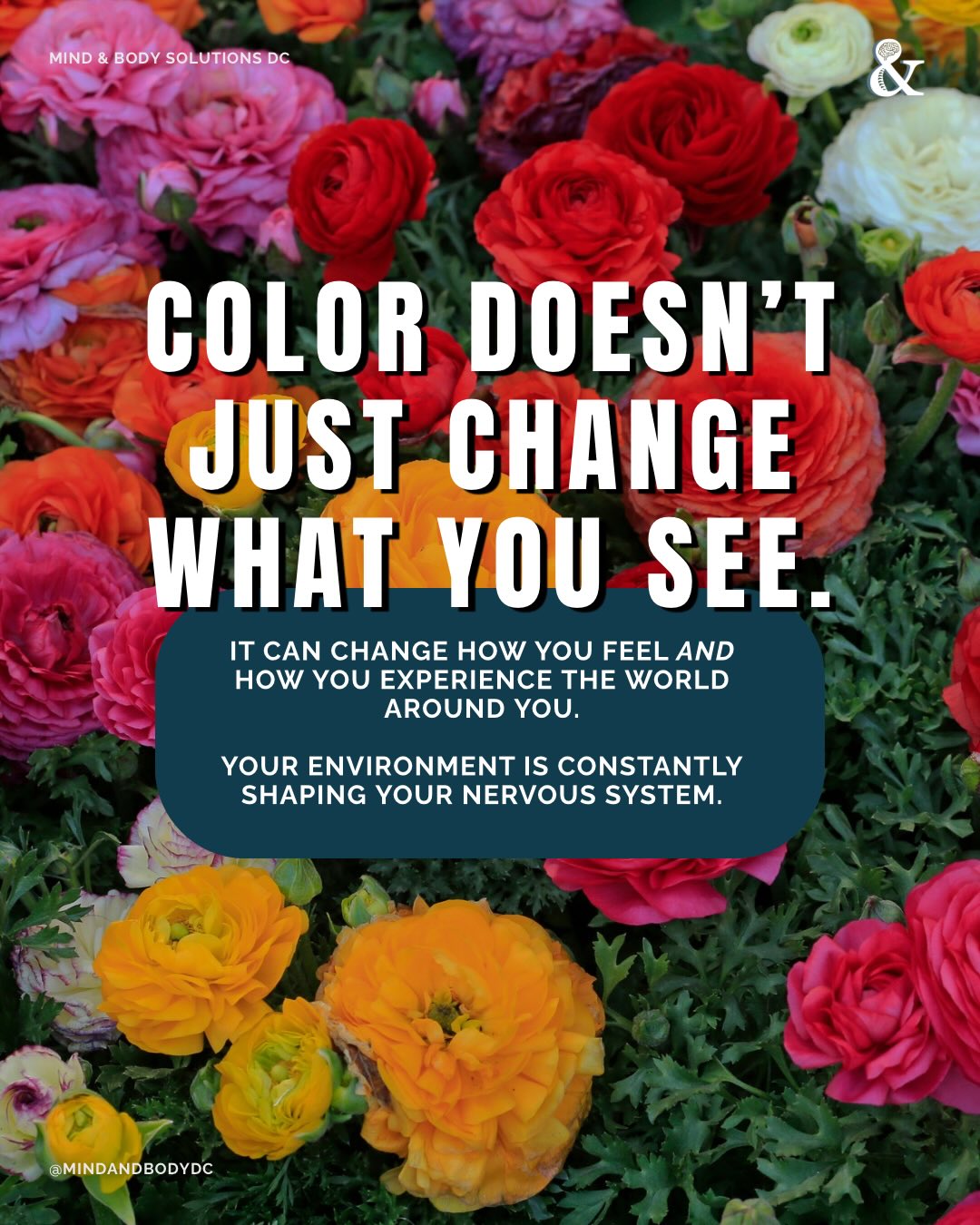 Did you know that your nervous system is constantly taking in information from your environment (including color)?? 🌈
Research suggests that visual context can shape emotional perception in subtle but meaningful ways. In one study, the color of a concert environment influenced how participants experienced the same piece of music, shifting their emotional interpretation of the sound.
This reflects how the brain processes sensory input as a whole. What you see, hear, and feel all interacts to shape your overall experience.
This doesn’t mean certain colors are universally “good” or “bad.” It means your nervous system is always interpreting cues and adjusting your level of alertness, focus, and emotional tone in response.
Becoming aware of these patterns can give you more agency! You might notice that certain spaces help you feel more grounded, while others leave you feeling overstimulated or fatigued. Then, small, intentional shifts (like adjusting lighting, incorporating calming tones, or reducing visual clutter) can support regulation.
If you’re curious about how your environment and nervous system interact, therapy can help you better understand and work with those patterns.
#NervousSystemHealth #ColorPsychology #DCTherapy #DMVTherapist #MindAndBodySolutionsDC