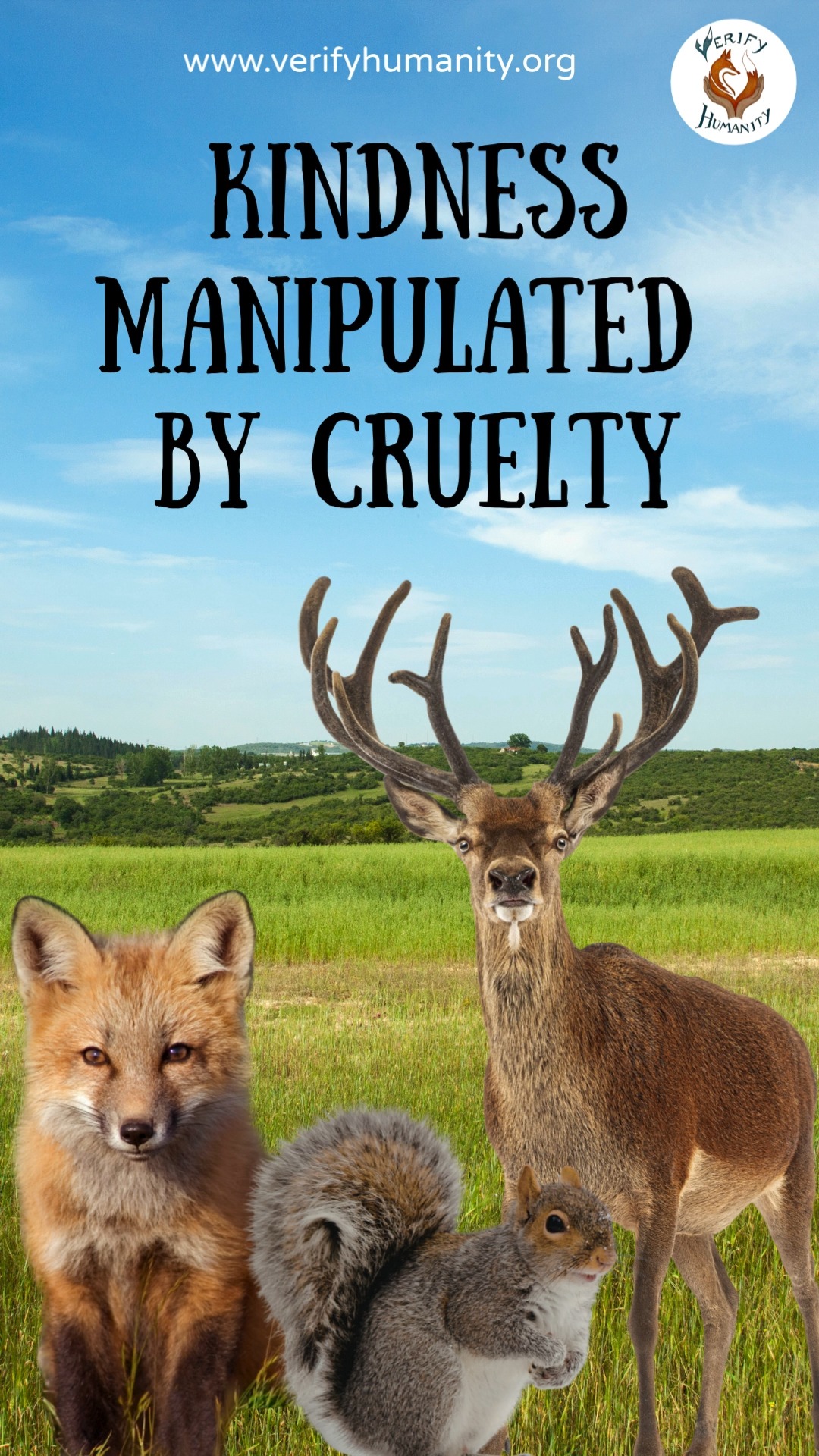 Some wildlife 'solutions' within society create ethical and practical problems...
🦊 Under the Hunting Act 2004, hunting a wild animal is permitted if a person reasonably believes that it may be injured. Notably, this exemption is listed under “rescue”. This raises the question: if an animal is injured, why is killing it considered a form of rescue rather than taking it to a wildlife rehabilitation centre? As well as this, there are additional exemptions to hunting, such as preventing damage to livestock, crops, fisheries, or biodiversity. Alongside the classification of certain species as “pests” (e.g. rabbits, rats), which further blurs the line between necessity and convenience.
🦌 A similar tension exists in deer management. Approximately 350,000 deer are killed each year in the UK, often justified on animal welfare grounds, with the argument that high population densities lead to poor health due to competition for food. However, if welfare is the primary concern, alternatives such as supplementary feeding, habitat management, fertility control, and non-lethal deterrents could be used as alternatives to culling.
🐿️ The case of grey and red squirrels further highlights this contradiction. Grey squirrels, which were introduced by humans and can outcompete red squirrels, are subject to widespread culling that has been framed as 'necessary conservation'. Yet this reframing raises ethical concerns as killing becomes ‘management’, and suffering becomes ‘justified’.
However, most of the decline in red squirrel populations is from human activity, including habitat loss and road traffic collisions. A more compassionate approach would be to focus on mitigating human impact, investing in medical solutions such as vaccines, and reconsidering how we define “management” in wildlife conservation.
Check our our article!
A case for non-lethal deer management in the UK (2026) by Francesca Cenci, Emma Doherty, Kate Fox, Elisa Gottardi, Alexis Strang, Luke Swindell and Sally Westworth.
https://www.verifyhumanity.org/non-lethal-deer-management