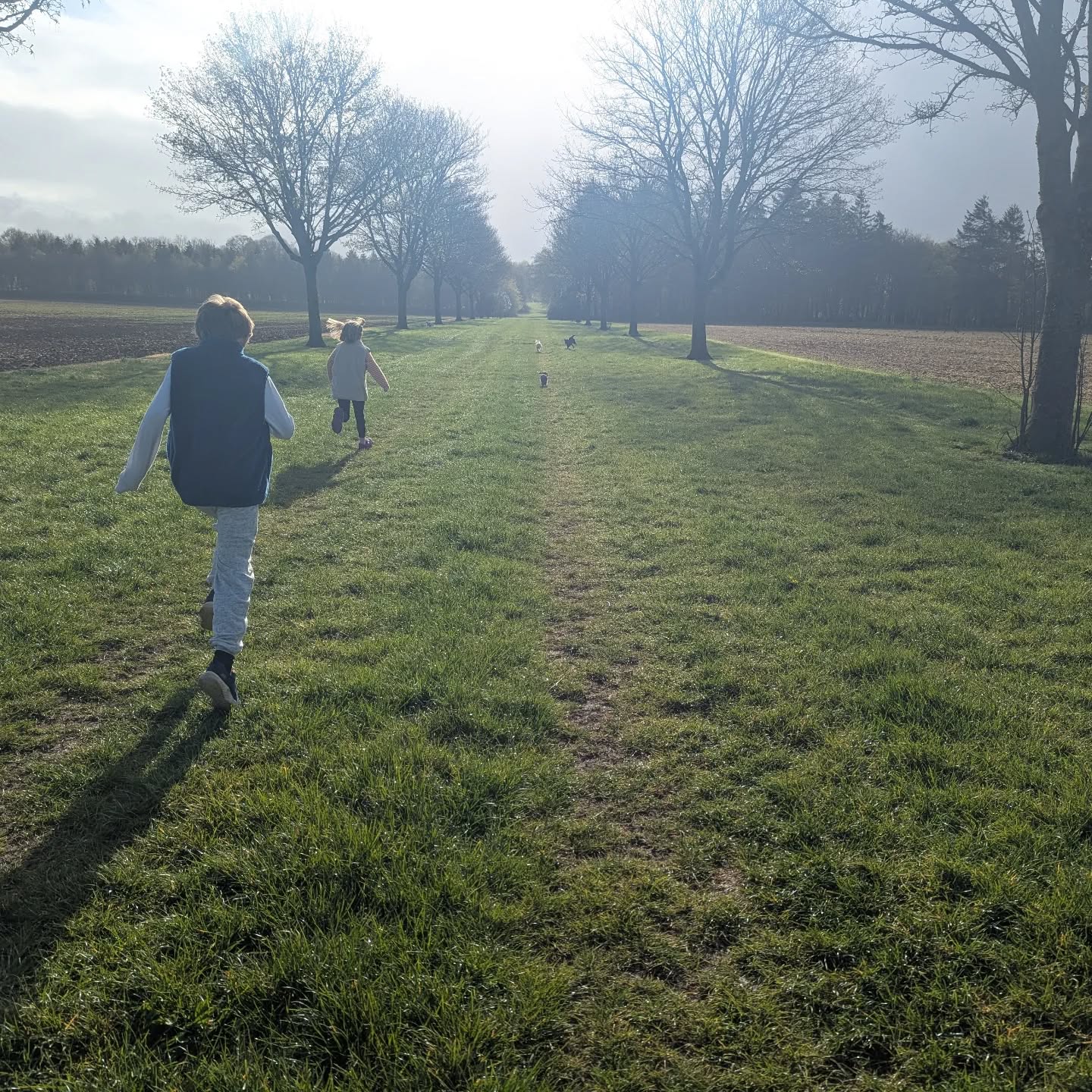 Kids and dogs exercised before the rain swept in ✅