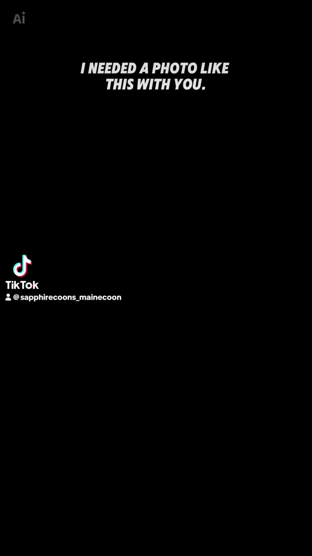 My dearly beloved Prince Pascal, a truly beautiful soul inside and out. I love him more than words can express.
❤️❤️😻
#sapphirecoons #cutekitten #mainecoon #sapphirecoonscattery #mainecoonbreeder #showkitten #sapphirecoon #mainecoonkitten #adorablekitten #showkittens #gccf_cats #gccf #gccfregistered #gccfkittens #gccfbreeder