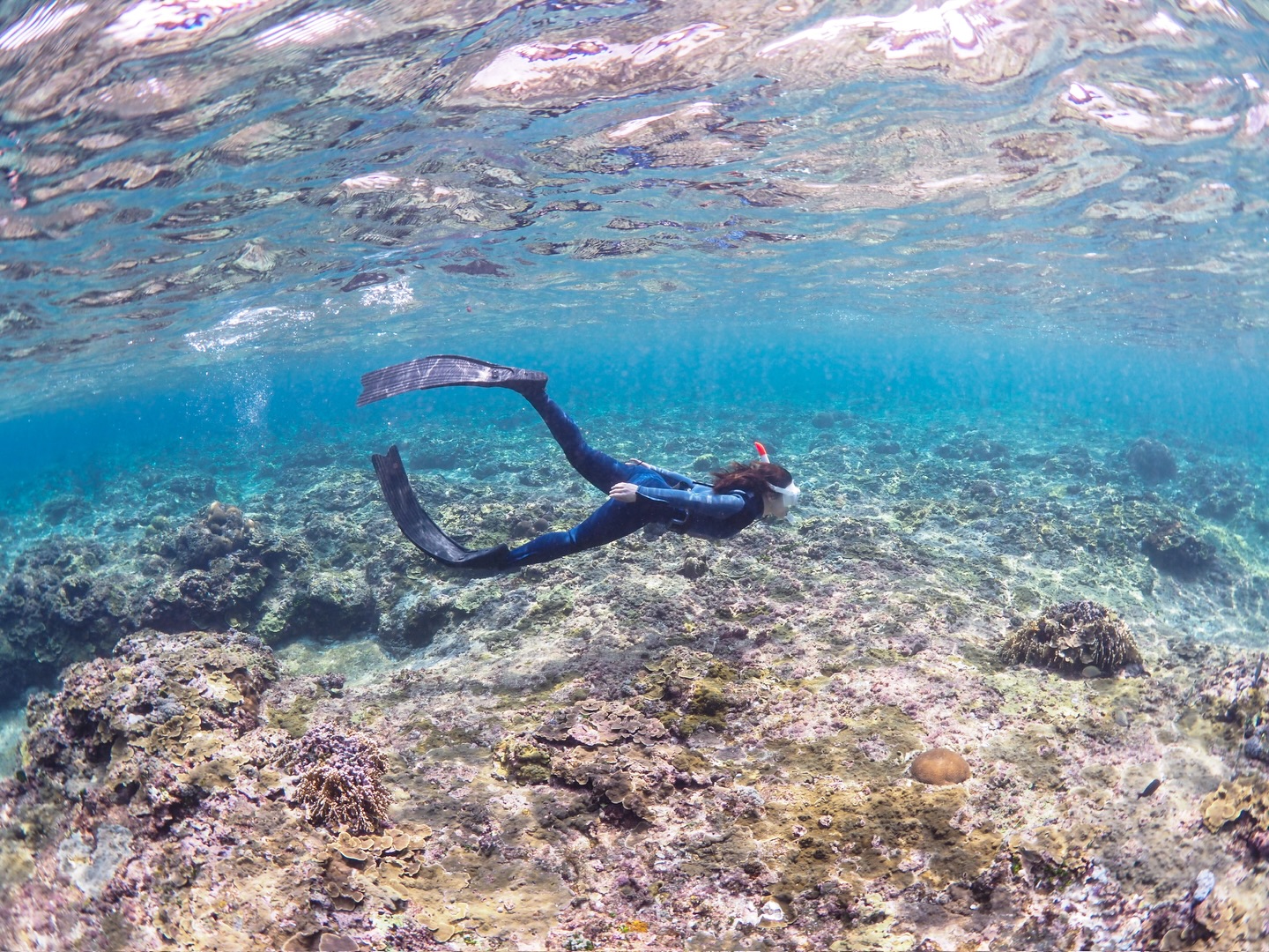 Nice dive👏✨
.
🌸💎🌸💎🌸💎🌸💎🌸
2026/3/16〜学割キャンペーンSTART✨
この機会にぜひお問い合わせお待ちしております🪸
.
期間▶︎2026/3/16〜4/30
料金▶︎全ツアー1,000円OFF
対象▶︎ツアー当日に学生であること。
ご予約の際に学生であることをお伝えください。
※団体の方は学生の人数分のみ割引となります。
🌸💎🌸💎🌸💎🌸💎🌸
.
🏝️海をもっと好きになれるツアー🏝️
🧜♂️メインガイド🧜♂️
@wallys_gallery
💎全ツアー1組貸切制💎
💎動画、写真データは全てプレゼント🎁💎
💎ロングフィン、器材全てレンタル無料🆓✨💎
💎初心者🔰でも大歓迎!ガイド歴10年以上💎
🫧━━━━ Skindiving ━━━━🫧
所要時間▶︎2時間
料金▶︎8,000円(1人参加の方は+2,500円)
🐚経験者の方はロングフィンの貸出も無料🆓
🐚スキルアップ重視の内容も可能👌
🫧━━━━ Schnorchel ━━━━🫧
所要時間▶︎2時間
料金▶︎6,500円〜(1人参加の方は+2,500円)
🐚泳げない方も安心してご参加下さい☺︎
🫧━━━ Skindiving license ━━━🫧
所要時間▶︎3.5時間
料金▶︎ 18,000円+ライセンス発行料5,500円
(1人参加の場合は+5,000円)
🐚条件クリアでPADIのライセンスカードが即日発行可能👌
🫧━━━━ Umi Photo ━━━━🫧
所要時間▶︎2時間
料金▶︎ 13,000円(1人参加の方は+2,500円)
🐚全撮影データ&レタッチ写真5枚プレゼント🎁
🐚衣装持ち込みなどご相談下さい🙆🏽♂️
【ご予約方法】
🐚InstagramのDM
🐚公式LINE 🆔▶︎ @ufj0961i (@から入力)
🐚リンク🔗のホームページ
ご予約状況はハイライトをご確認下さい。
【ぷくぷく】
2018年営業START🐠
全ツアービーチエントリー🏖️にて
エコ🌏&安心安全🦺をモットーに
ご案内しております。
海をもっと好きになれるツアー🐢✨
ご興味ある方はお問い合わせお待ちしております♨️
#宮古島
#宮古島スキンダイビング
#宮古島シュノーケル
#padiライセンス
#미야코지마