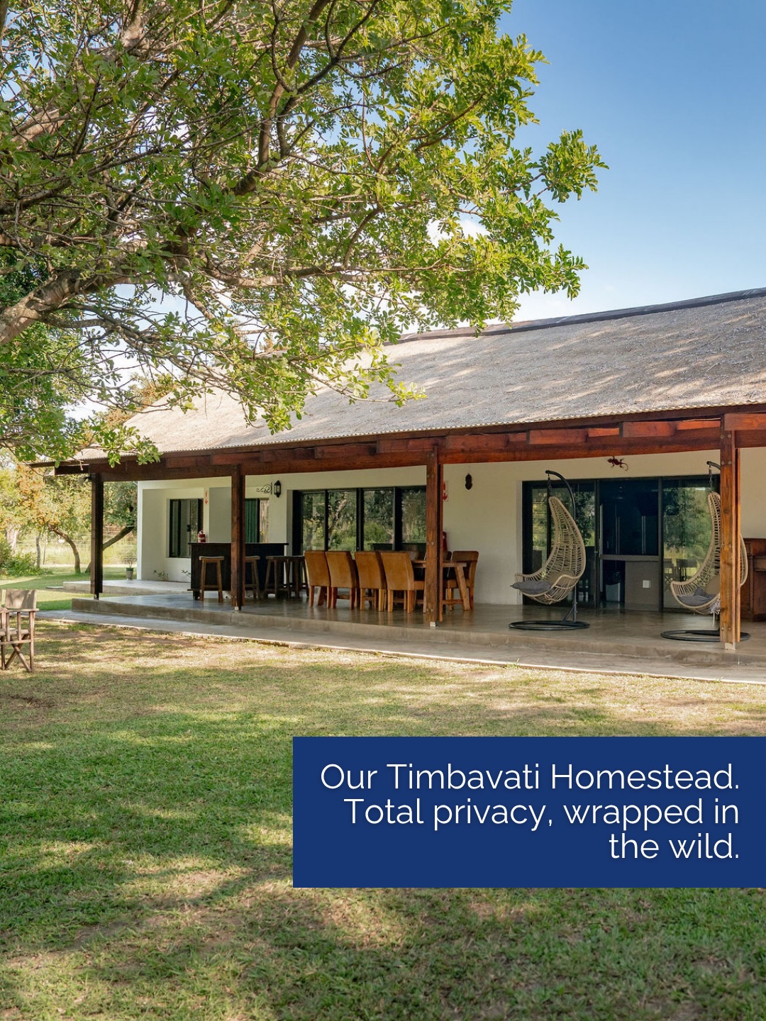 Think of our Timbavati Homestead as your own private lodge in the heart of Thornybush.
It’s an 8-sleeper hideaway made for families or a group of friends who want to lean into the quiet side of the bush without having to share it with anyone else.
The best part is that everything moves at your pace.
You have a dedicated guide and tracker, your own safari vehicle, and a chef to handle all the meals. You can spend the afternoon by the pool with nothing but the local birdlife and the wind in the trees as a soundtrack.
It is total privacy, wrapped in the wild.
Tap the link in our bio to book your stay.
#safari #africansafari #wildlifeofsa #wildlifesafari #wildlifeofinstagram
krugernationalpark thornybushgamereserve luxurysafari luxurysafarilodge travelsouthafrica southafricasafari big5 conservation thisissouthafrica soulful_moments wildlife