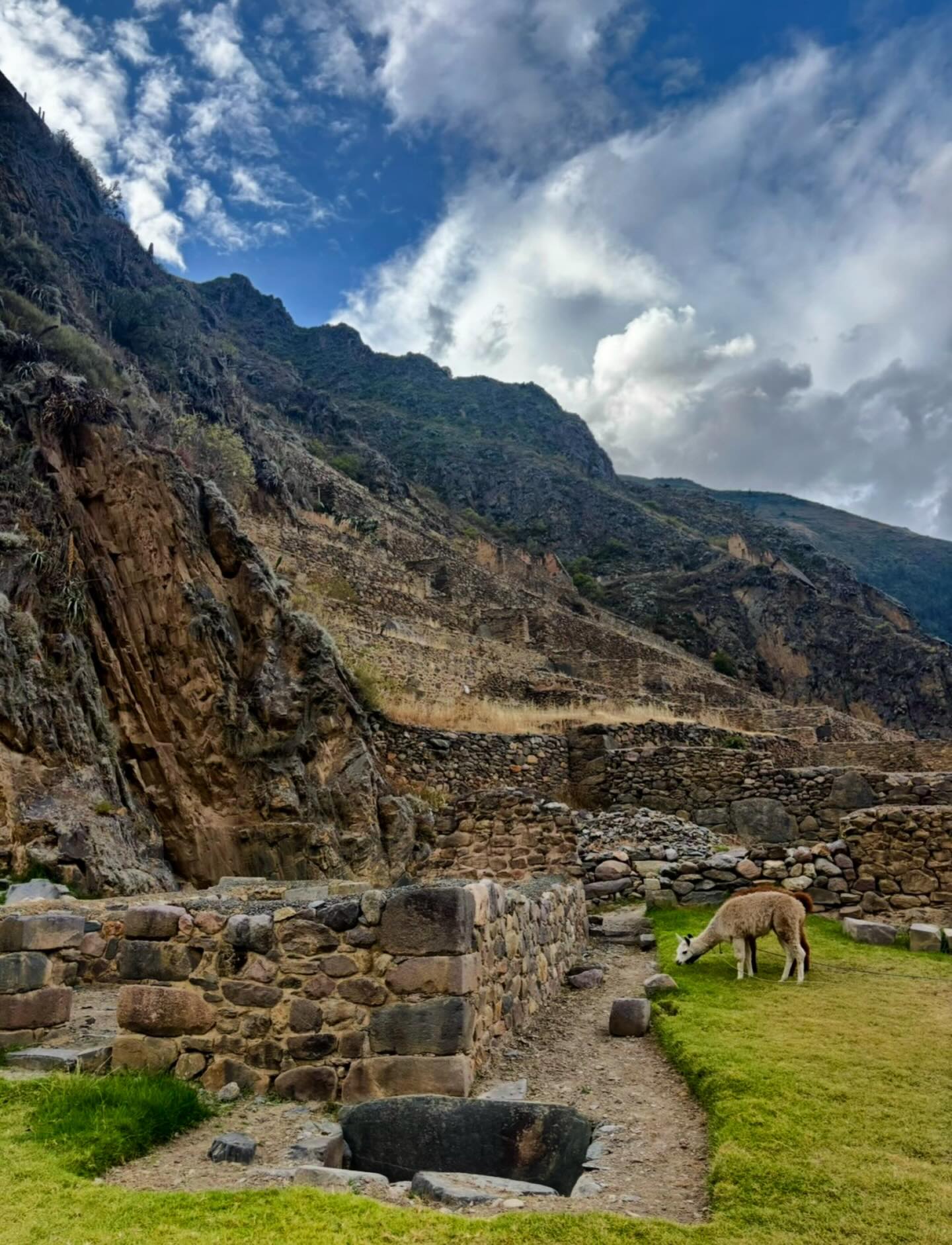 Ollantaytambo feels like stepping straight into history — massive stone terraces, mountain views in every direction, and moments like this that just don’t feel real 🇵🇪✨
This place is one of those “pictures don’t do it justice” kind of places… but I’ll still try 😍
#Ollantaytambo #SacredValley #Peru #IncaRuins #TravelPeru