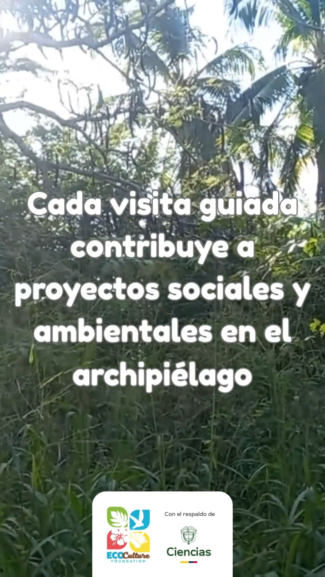 Cada recorrido suma a algo más grande.
Viajar así también se siente diferente.