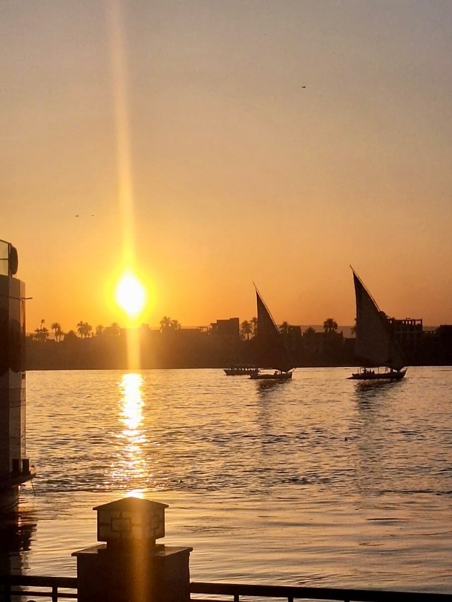 Que emoción nos da cuando nos comparten fotos y videos de sus viajes. 👌🏼🫡 Gracias por viajar con #AnimalViajero
#viajerosfelices #viajesporegipto #egipto #viajaaegipto