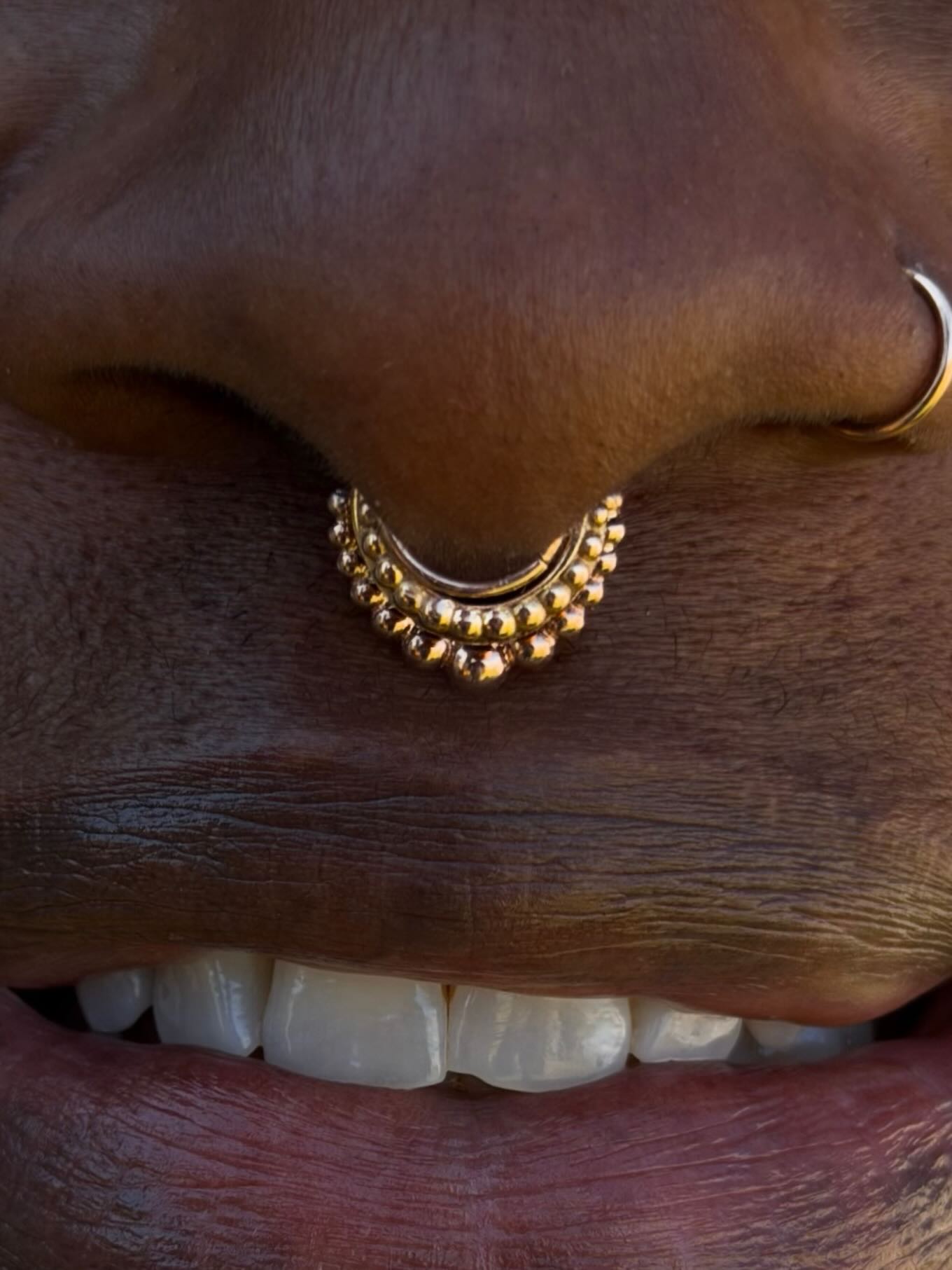Stacking septum’s ❤️✨
@piercingbyroy ✨
#staytruebodypiercing
#safepiercing
#appmember