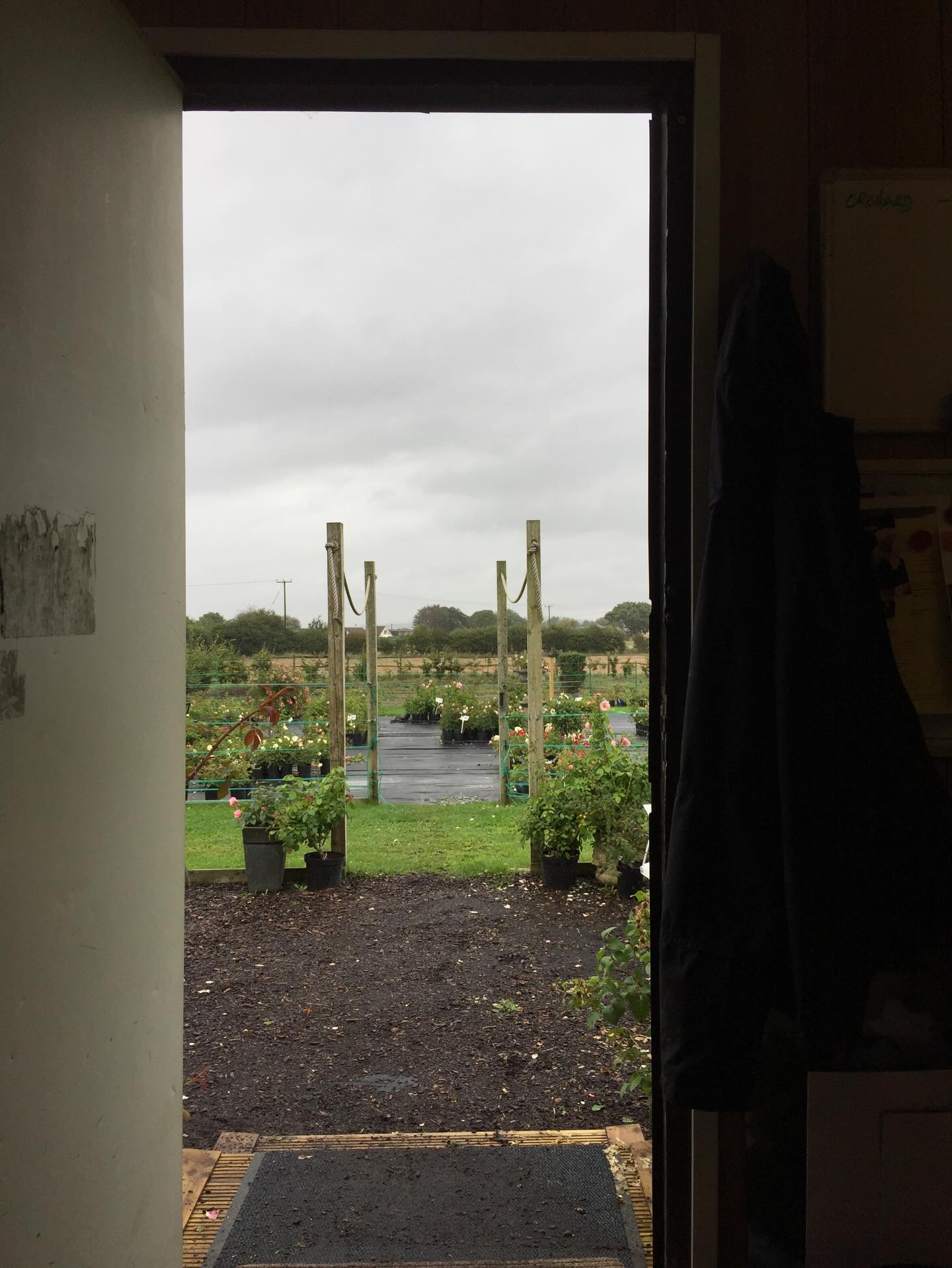 The view from the office out to the nursery over the last 10 years, sometimes it’s nice and sometimes it’s a little soggy! All we know if that every year there are more and more beautiful things to see through the window 🪟
#gardening #gardeninglife #gardencentre #britishweather