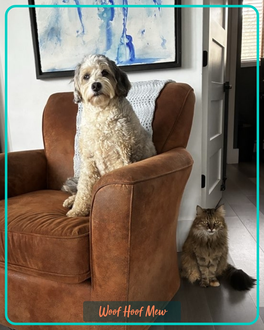 The truce is currently holding... but for how long?
#Woofhoofmew #petsitting #besties #catanddog #morrisoncolorado #evergreencolorado #conifercolorado