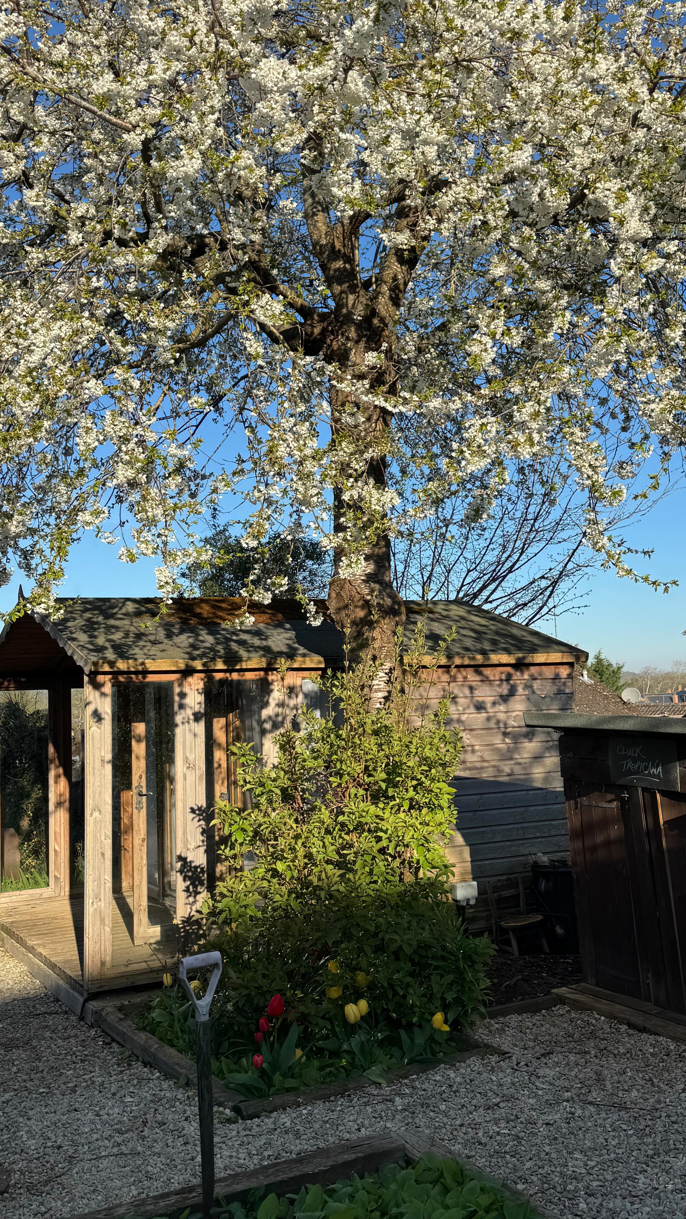 My happy place 🥹💭💕🕊️✨
I feel so very lucky, to be able to welcome my beautiful brides & clients into such a peaceful, warm and welcoming space.
Its the home of magical makeup moments, and genuine & wonderful connections 🫶🏻
My hope is that everyone that comes to the cabin for their makeup booking, loves it as much as I do- but most importantly feels relaxed & comfortable 😌
I am so proud of it…so this post is just a little ode to my little slice of heaven in the garden 🏡🥹🫶🏻 (and my clients who always make my time spent working in there, so magical)