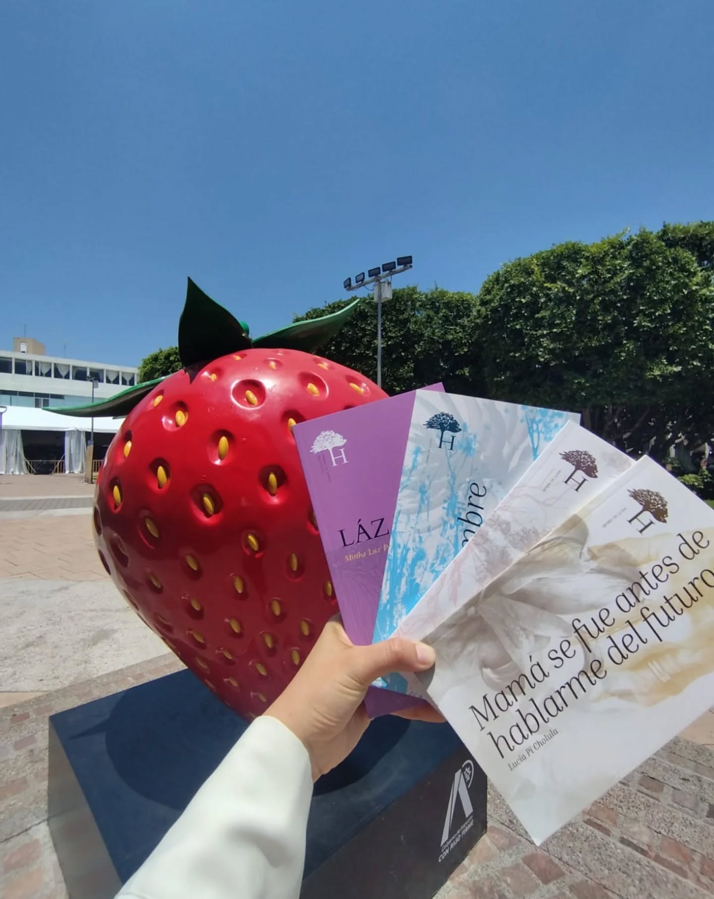 Vinimos a la XV @feriadelibroirapuato y quedamos sorprendidas. Un esfuerzo enorme para programar mesas de conversaciones, talleres para niños y jóvenes, exposiciones de editoriales muy bellas y un público atento, interesado, participativo. Regresamos a casa contentas y muy orgullosas de que nos hayan invitado.
(Si les llegan a invitar, vayan. Es una de las ferias con mejor organización y cuidado en las que hemos estado y hay un esfuerzo monumental detrás).
Van ahora una lista de todo lo que nos sorprendió de Irapuato:
😯Hacen 21 ferias al año y otras actividades culturales más.
🍓Hay un monumento a la fresa y sí están muy sabrosas.
🥵La lluvia no refresca y alborota el calor
🥹💕Las niñas, los niños, adolescentes y jóvenes ponen muchísima atención y realmente escuchan.
🍓😢Cierran los locales temprano (perdón a todos a quienes les prometimos fresas).
💯 La oferta de libros es un 10 de 10. (Nuestros libritos se quedan en Nympha en Gto.)
🤤La comida está muy rica
👙Por si las dudas carguen con un traje de baño