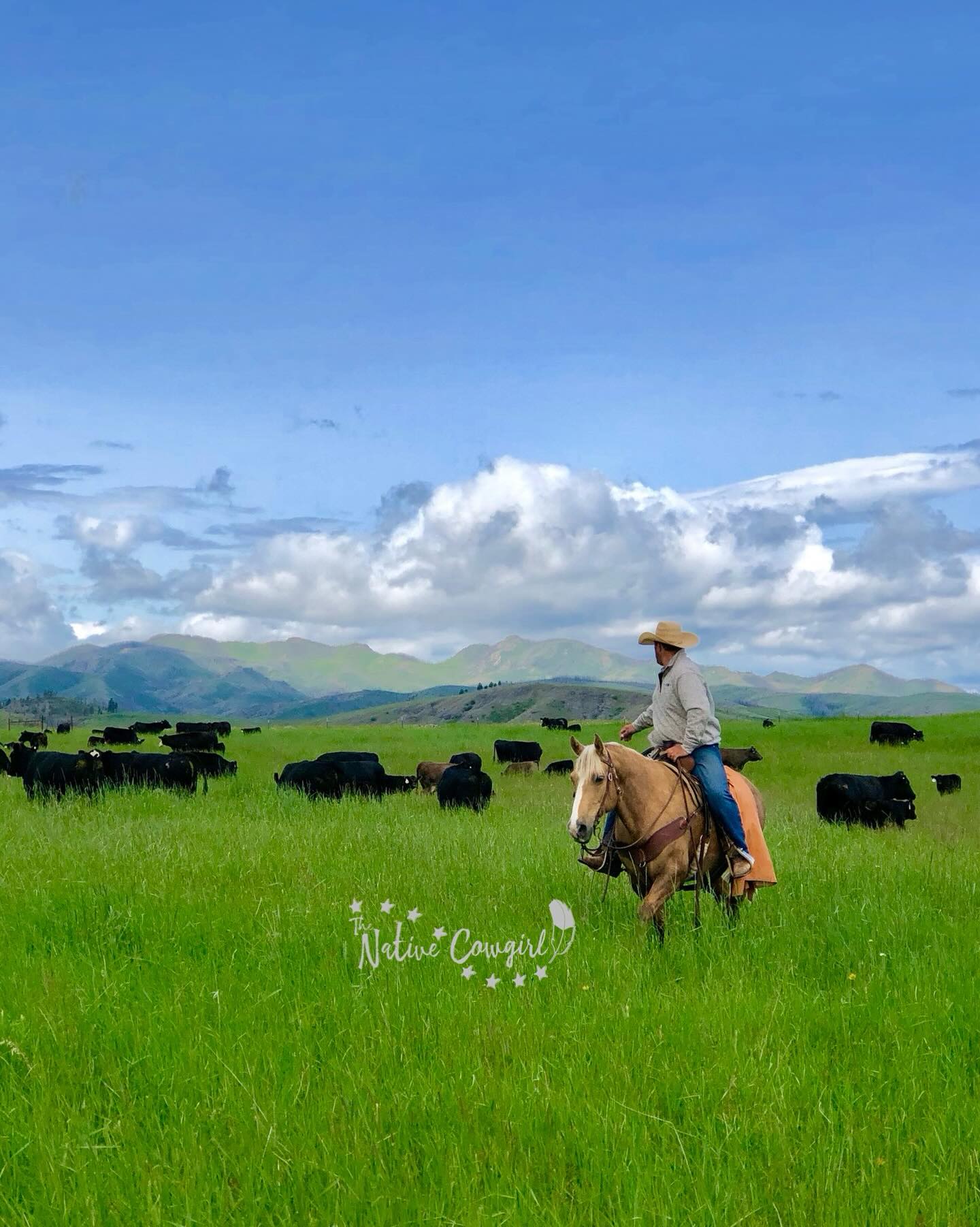 Earth Day means a little more when you live close to the land.
Out here, the earth is not something we pass by without noticing. It is the dust on our boots, the grass beneath our horses, the sunrise over the pasture, the smell of fresh rain and the quiet reminder that we are part of something bigger than ourselves.
The land teaches us patience, resilience and gratitude. It reminds us to slow down, breathe deeper and appreciate the simple things.
Today, take a moment to step outside. Feel the sunshine on your face, listen to the birds, watch the wind move through the grass…and remember that healing, peace and strength can still be found in the beauty around us.
We only get one earth. May we care for it, honor it and never forget how much it gives us in return.
Happy Earth Day! 🌎🫶🏼
🪶Cheyenne, The Native Cowgirl
