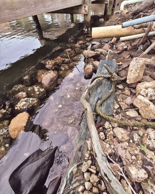 I had surgery about a month ago, but before the crisis, I went out one overcast morning with Raven Storm looking for fun textures. Sought out spaces where rusty metal meets weeds. Collected a ton of images from which to make "finder compositions." It took a while to have enough energy during recovery to pull this folder up for editing, but now they've been processed. I'm quite happy with a few of them. It's fun to look for compositions right under our noses and push them to see where they want to end up. There are about 20 images I thought were worth sharing. I hope you'll check them out!
Texture Foraging. Field trip photographs edited in Gimp by Katty Pulsar and Neil Oldman for Daydream Misfit.
https://www.daydreammisfit.com/texture-foraging