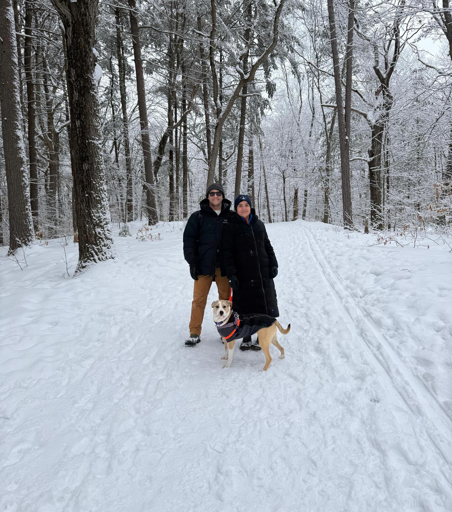 After grieving the loss of our darling Valley girl last year, we adopted 10 month old Charlie from @shultzsguest ! ❤️🐕
Charlie girl is playful, affectionate, and eager to work for rewards. While her social network and calendar have filled up fast, she has also learned to love her crate, jump in the car by herself, and read the room when another dog isn’t interested in playing.
Stay tuned to see her continue to grow in her confidence, experience and vocabulary! #WagWithWilliam #PositiveReinforcement