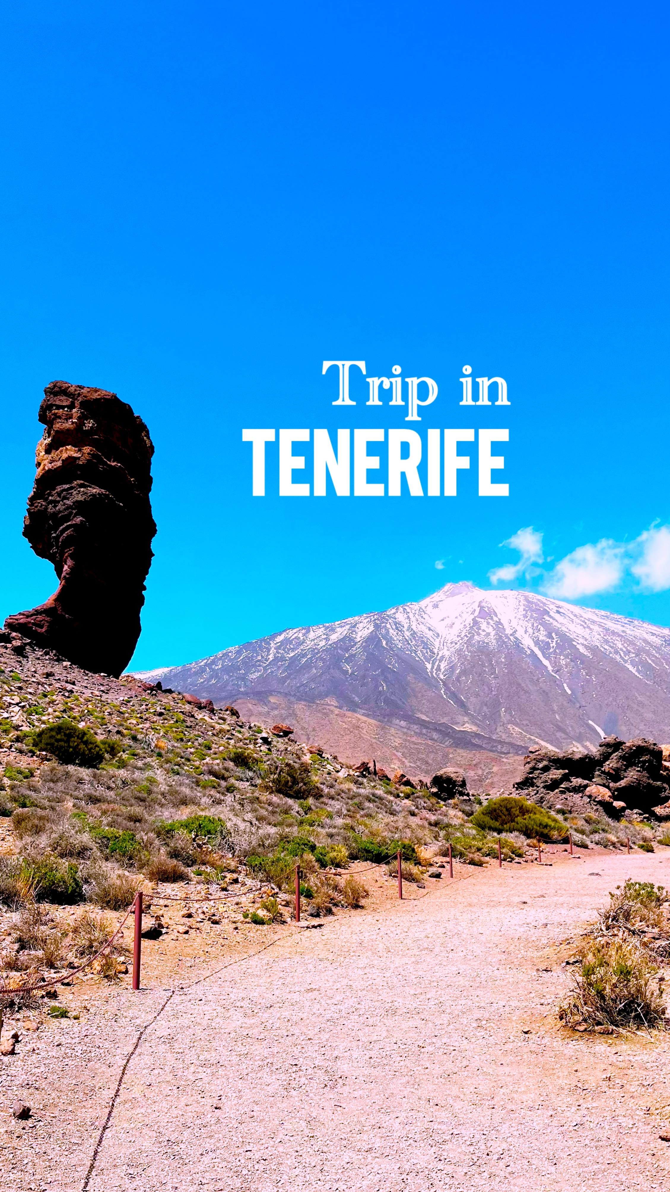 Scrivi TENERIFE nei commenti e ti mando l’itinerario completo e dettagliato ✈️🌴
Se stai cercando cosa vedere a Tenerife in 4 giorni con (o senza) bambini, questo itinerario è perfetto per te: un viaggio tra vulcani, spiagge nere, foreste e villaggi spettacolari 🌋
In pochi giorni abbiamo scoperto il meglio dell’isola, alternando natura, mare ed esperienze uniche.
✨ Le tappe imperdibili a Tenerife:
🌿 Anaga: foresta primordiale, sentieri tra le nuvole e panorami mozzafiato
🌊 Taganana e Benijo: la Tenerife più selvaggia e autentica
🏖️ Playa de Las Teresitas: spiaggia perfetta per famiglie
🌑 Playa de la Arena: una delle più belle spiagge di sabbia nera
🌋 Teide: trekking facili (Roques de García) + funivia fino a La Rambleta
🌄 Masca e Los Gigantes: tra i panorami più spettacolari dell’isola
🍌 Finca Las Margaritas: piantagione di banane con degustazione
🐪 Camel Park: esperienza con animali e giro sul cammello
💡 Consigli utili per organizzare il viaggio:
✔️ noleggia un’auto per muoverti facilmente
✔️ clima variabile (porta sempre una giacca!)
✔️ perfetta destinazione per viaggiare con bambini
✔️ ideale anche in primavera
👉 Tenerife è una delle migliori destinazioni in Europa per un viaggio completo tra mare, natura e avventura.
Salva questo post per il tuo prossimo viaggio ✈️
#tenerife #viaggiareconbambini #valigiainfarinata #travel
cosa vedere a Tenerife, Tenerife con bambini, itinerario Tenerife 4 giorni, Teide trekking, spiagge Tenerife sabbia nera, Anaga cosa vedere, Masca Tenerife, Los Gigantes, Tenerife viaggio famiglia, cosa fare a Tenerife, Tenerife primavera, viaggio Canarie