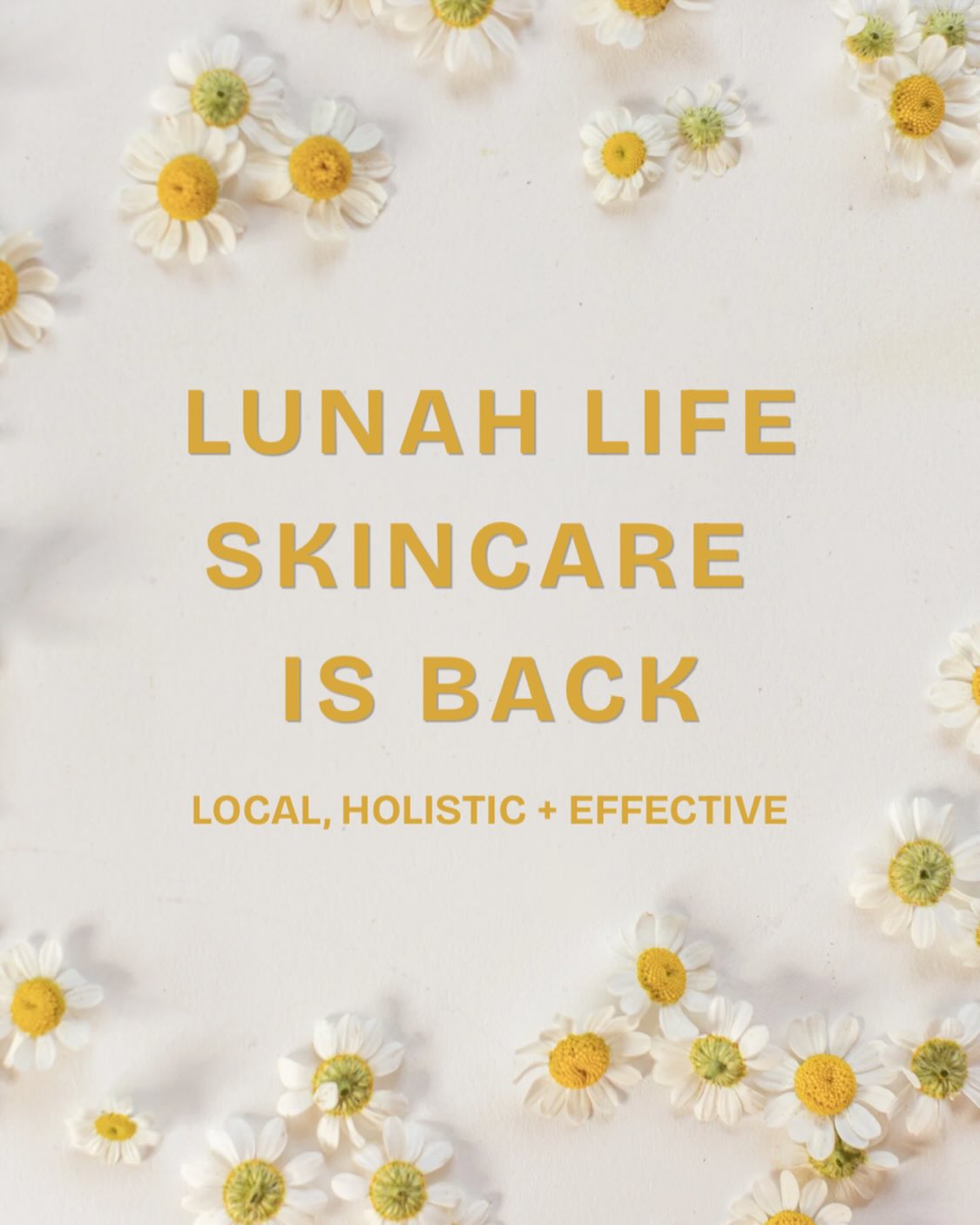 🌼Lunah Life Skincare is officially back on the shelves @revivehhc
After taking a little pause from carrying retail, it felt so aligned to bring back one of my absolute favourites — Lunah Life. Locally made in London, Ontario, these products are everything I believe skincare should be: holistic, simple, and very effective (this brand has won numerous awards for their products for a reason!)
No toxins. No synthetic fragrances. No fillers.
Just real, intentional ingredients made with so much love 🤍
I’ve personally been using Lunah Life on my own skin since 2020, and it’s been a staple in my routine ever since. Not only that, but it’s also what I trust and use inside my services — because the results truly speak for themselves.
This is skincare that supports your skin, not overwhelms it… and still delivers that healthy, lasting glow.
🌸 DM me or ask at your next appointment if you want more details on this amazing brand!