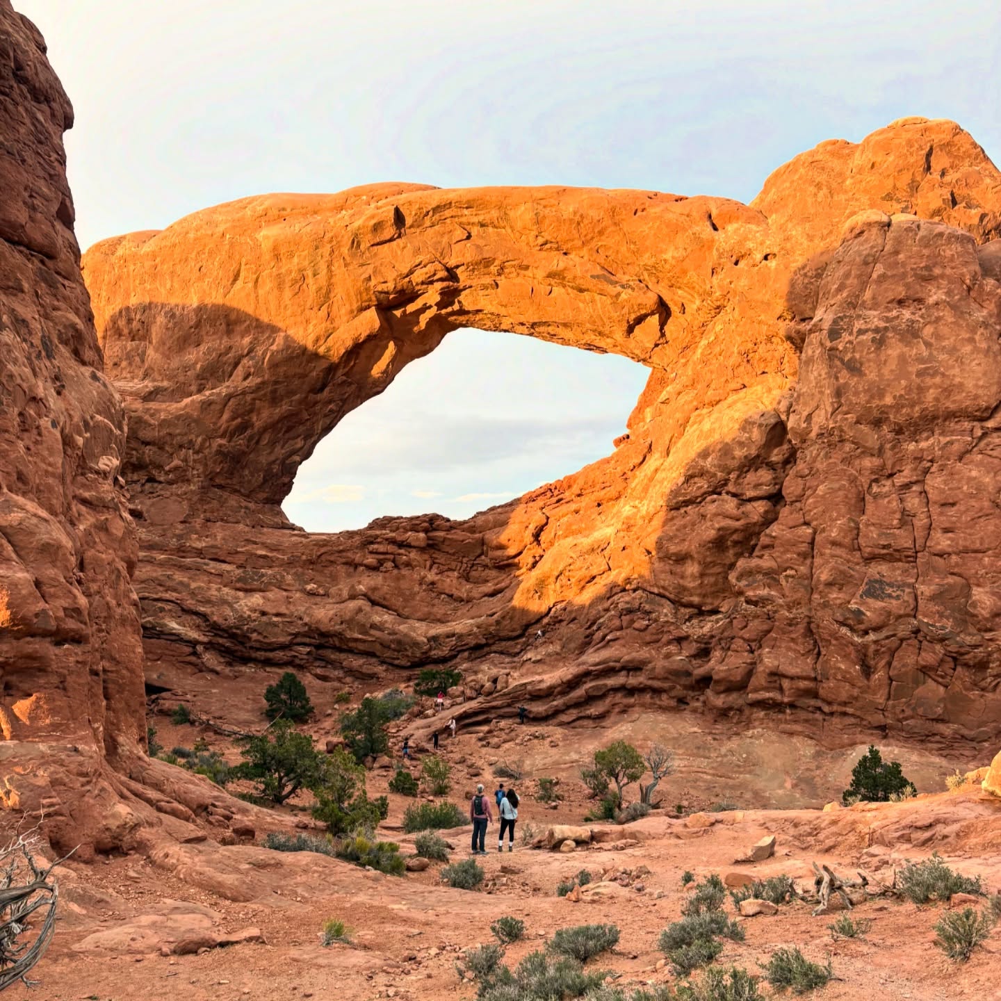 I see arches… #moad