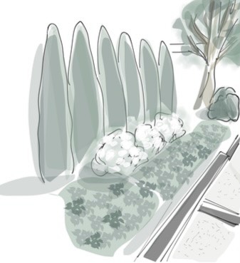 Fullt fokus vid datorn med design av skogsträdgård (sålänge Poppe tillät😅) men imorgon är det grävjobb på schemat då dags att förbereda plantering hos annan kund. Älskar kontrasterna! 💪 Anne önskar en förlängning av thujahäcken som insynsskydd mot grannens pool, vilket är helt rätt. Jag såg även värdet av att addera mer växtlighet och estetik, vilket gick hem. Här en snabbskiss för att visualisera hur man får ut ännu mer av ytan än bara thujahäck med hortensia ’FlowerWow’ och marktäckaren waldsteinia💚