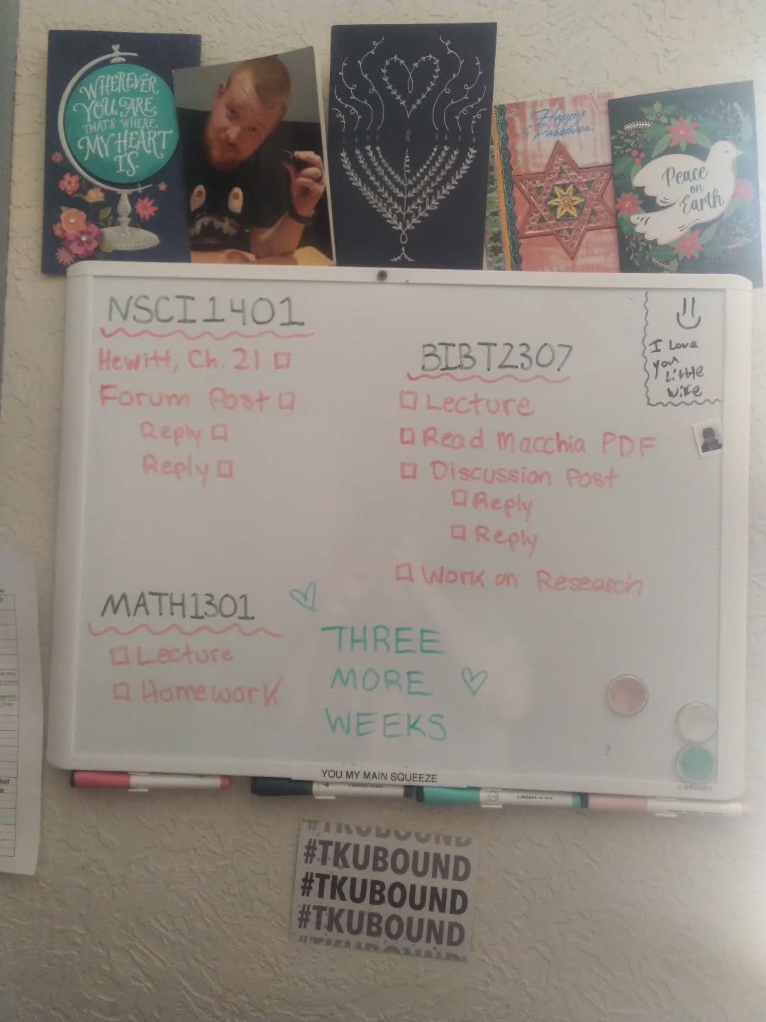 Three more weeks until Summer Break! ☀️⛱️🌊
Thank you ALL for your support this past year!
The future of Messianic Judaism is bright and I'm down for the ride!
If you're excited about the future of Messianic Judaism - give me a follow!
#messianicjudaism
#yeshua
#torahobservant
#tku
#thekingsuniversity