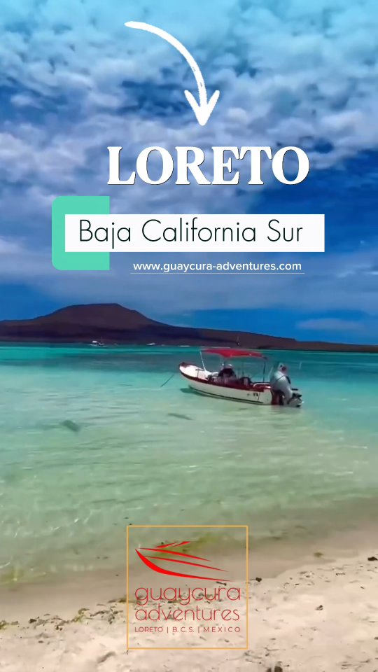 🏝️ 🌊 Loreto, Baja California Sur 🇲🇽
🐬 Avistamiento de delfines, lobos marinos y peces tropicales
🤿 Ideal para snorkel, kayak y exploración
• Clima perfecto esta temporada
🌤️ Días soleados y muy agradables
🌡️ Entre 24°C y 30°C
🌬️ Poco viento, ideal para tours en lancha
🚤15% OFF Código S4NT4 www.guaycura-adventures.com
📲 613 124 4158
#LoretoBCS #BajaCaliforniaSur #MarDeCortes #ToursLoreto #IslaDanzante 🌊